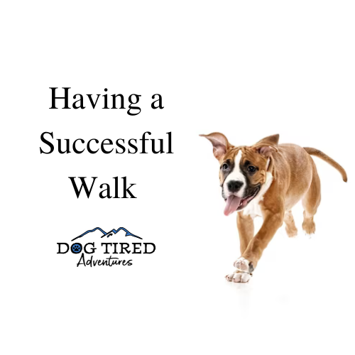 Having a Successful Walk 