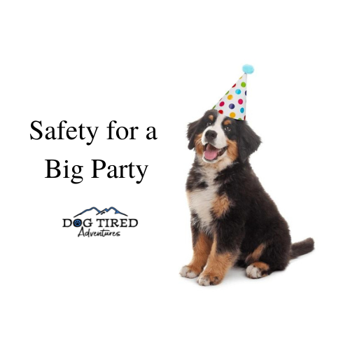 Safety for a Big Party