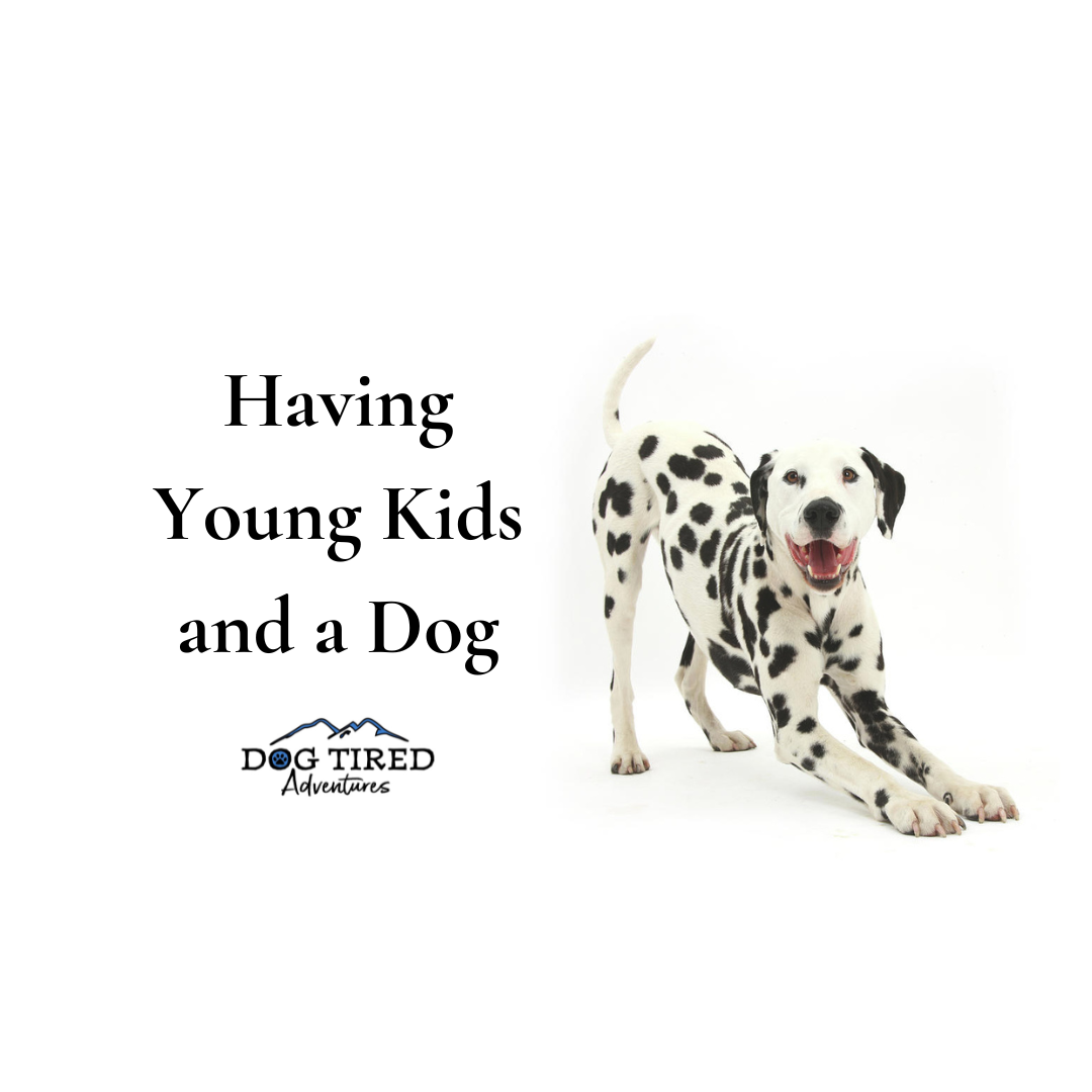 Having Young Kids and a Dog