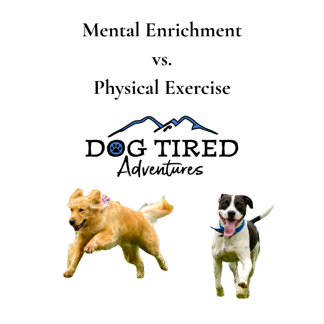 Mental Enrichment VS Physical Exercise