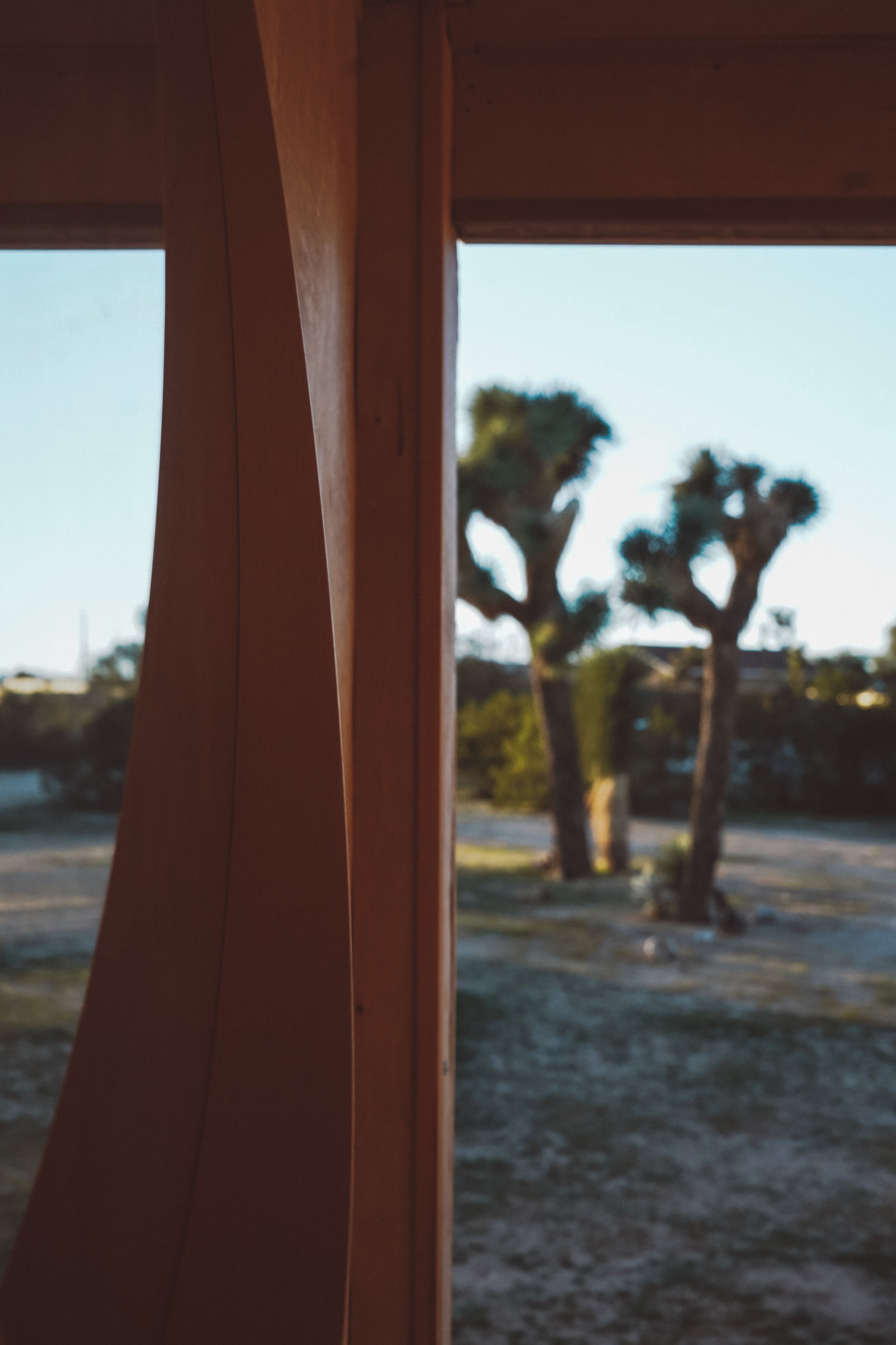 2025_12_JoshuaTree-37.jpg