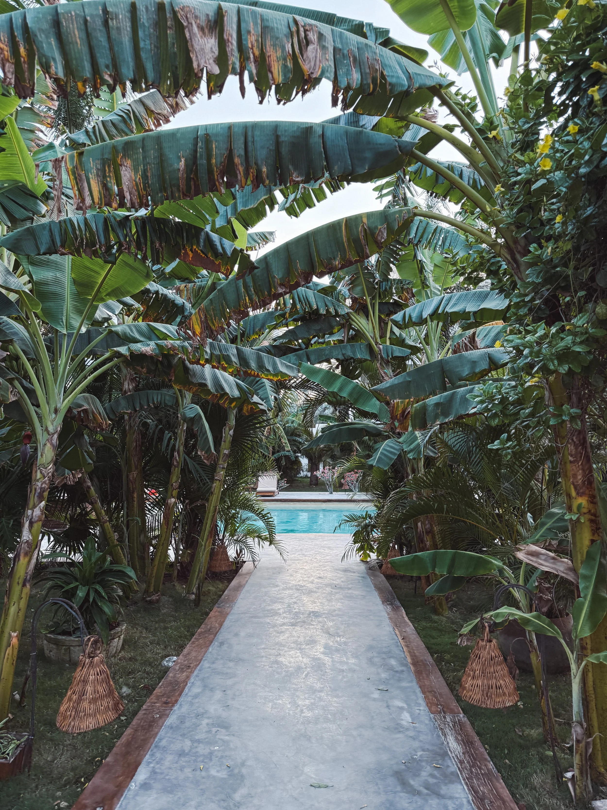 2024_04_Tulum-57.jpg