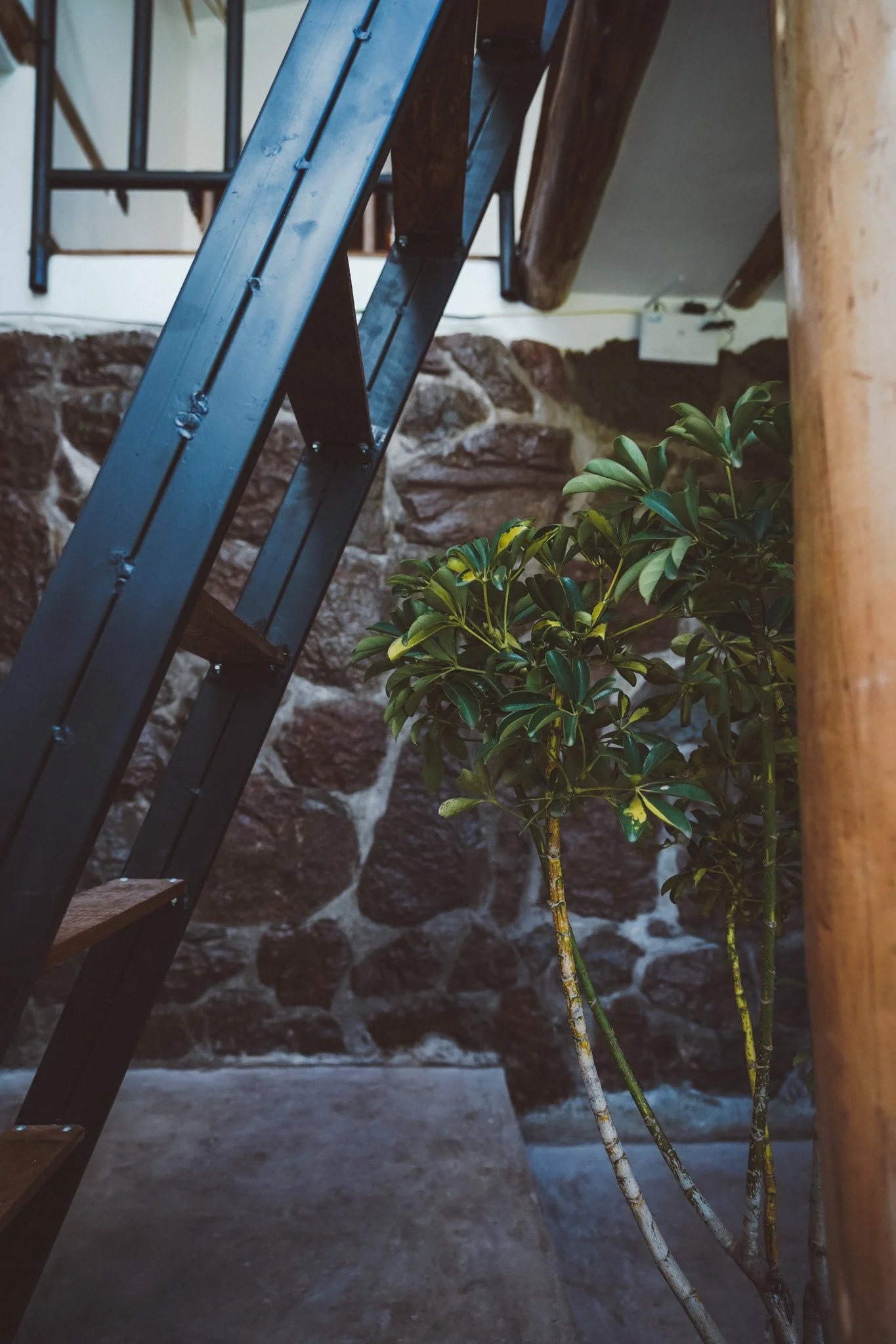 2024_06_PisacAirbnb_Loft_02-069.jpg