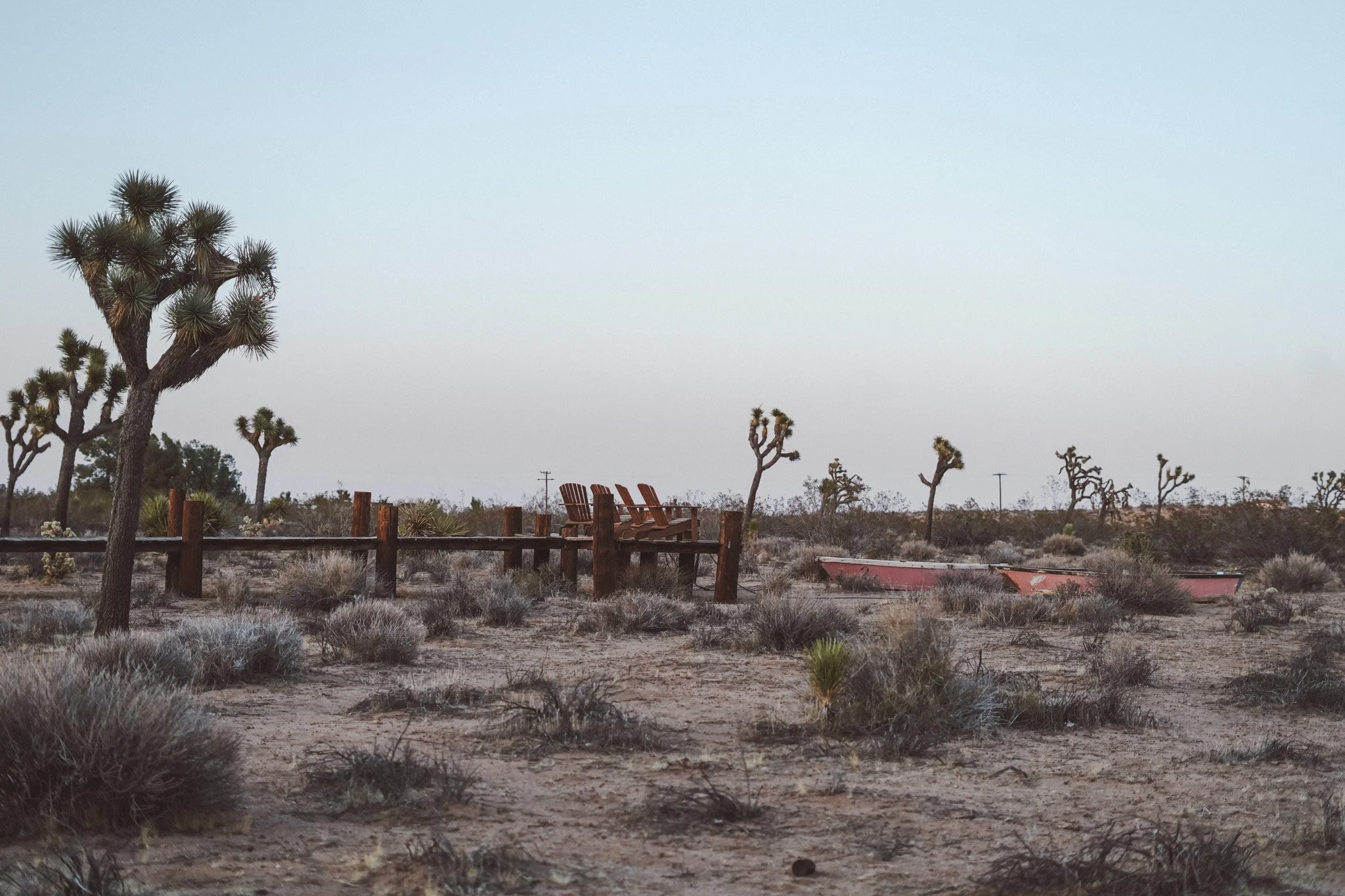 2025_06_JoshuaTree-69.jpg