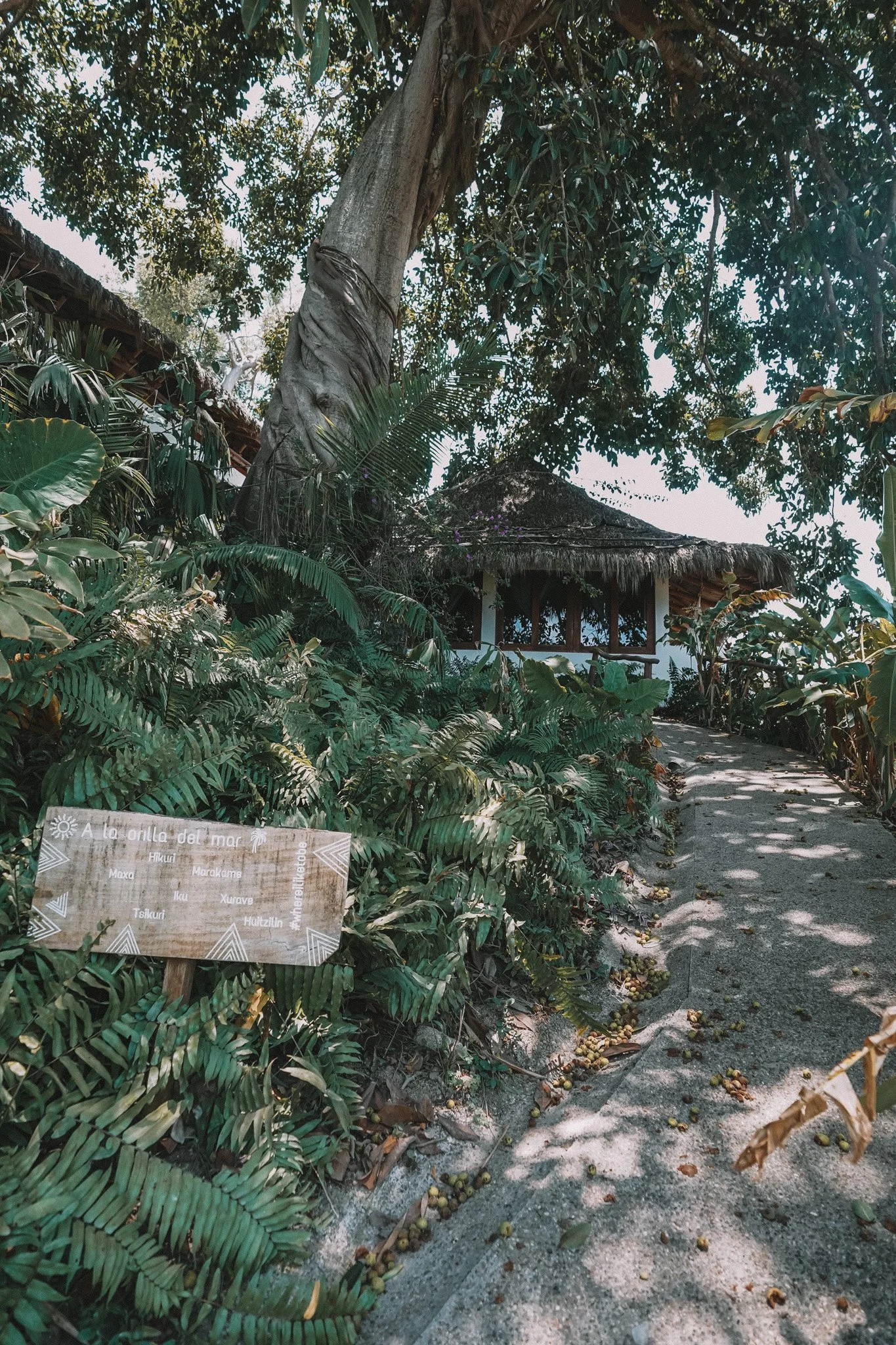2023_05_MaraicaHotel&Ecolodge-167.jpg