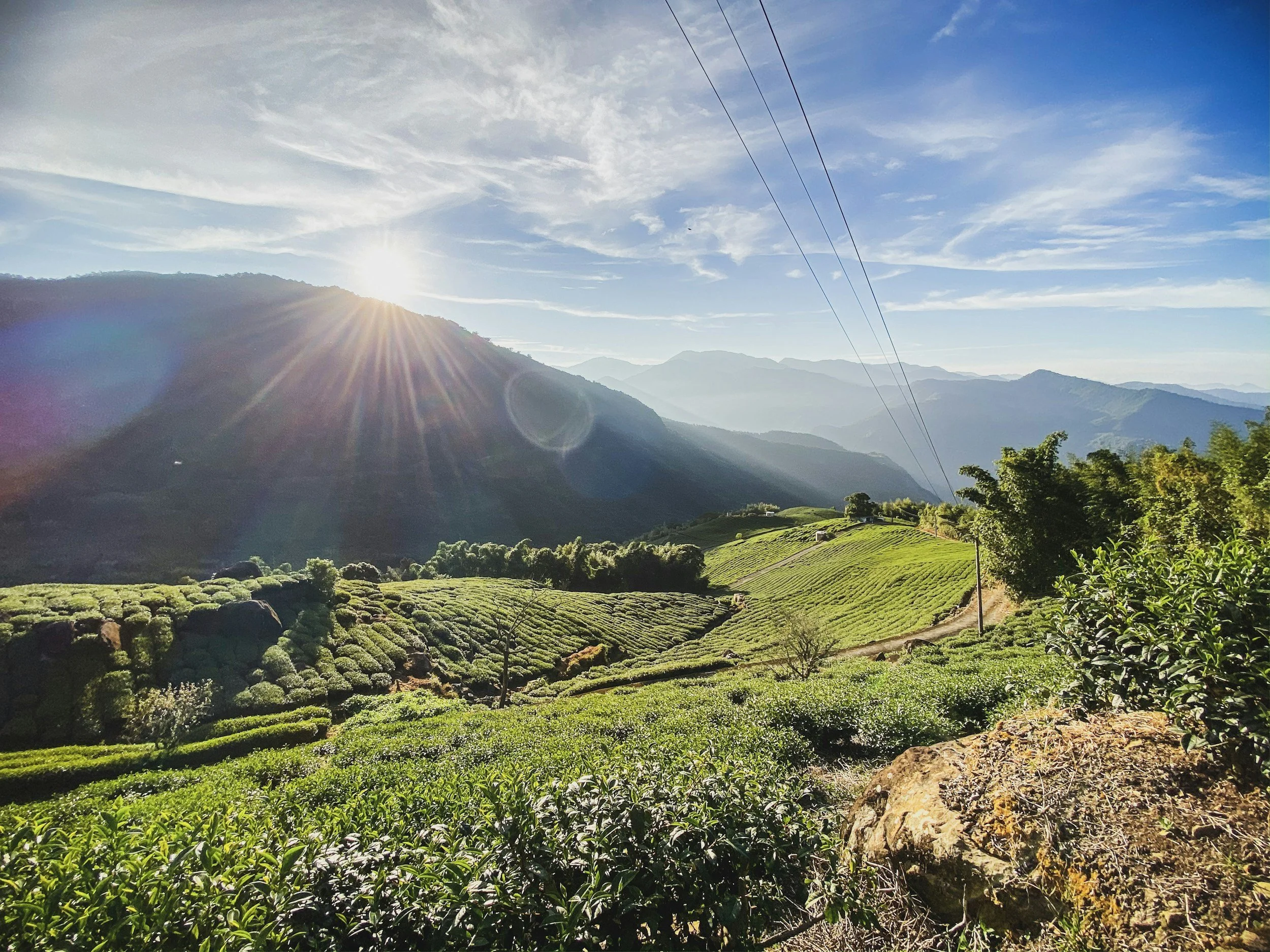 Sonoma County Business & Agriculture Consortium Legislative Reception