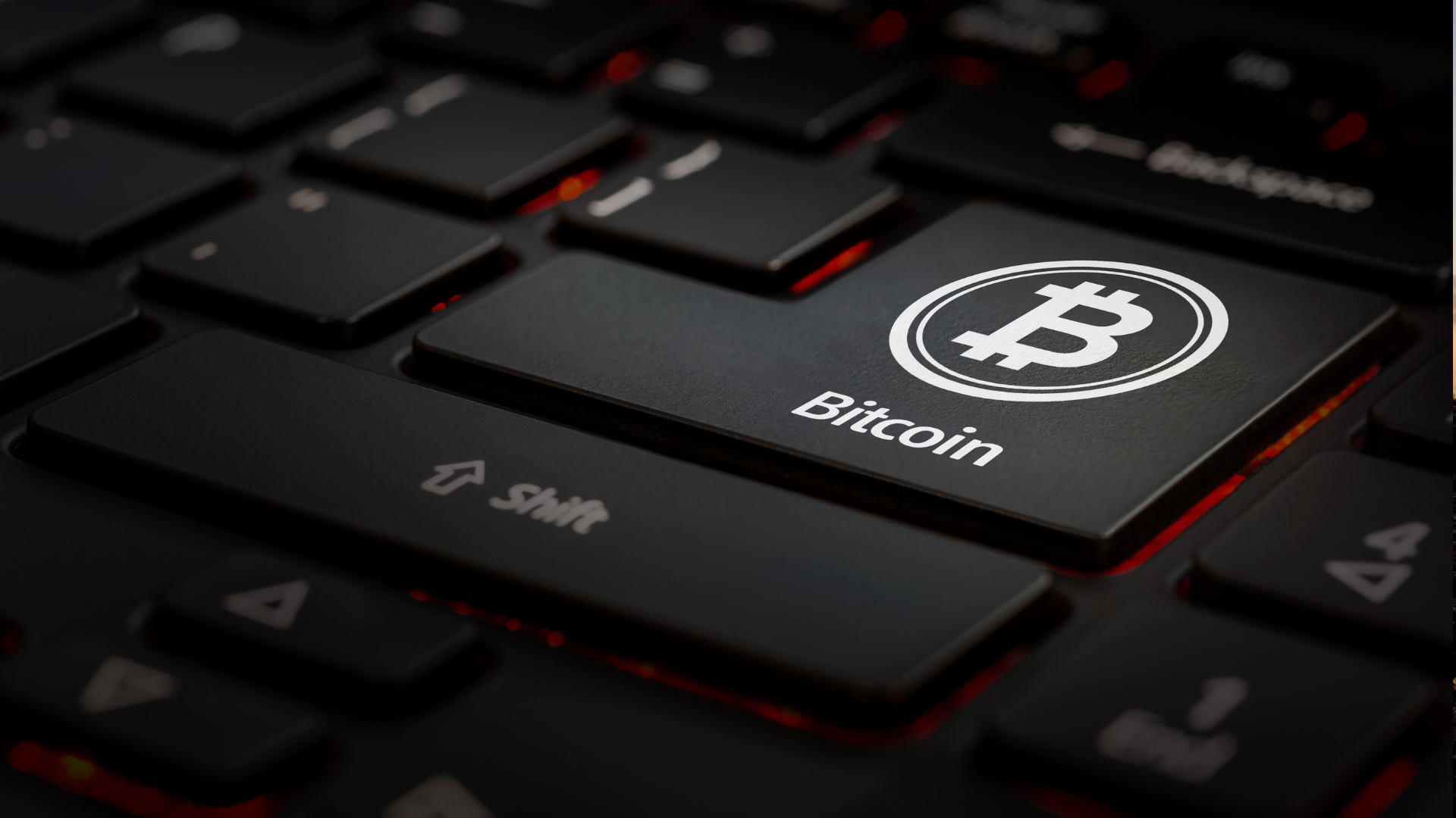 Week 16. The curious case of Dr Craig Wright