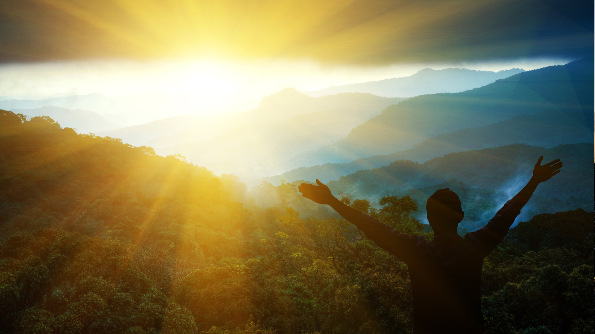 Week 10. Turning Rejection into Resilience.