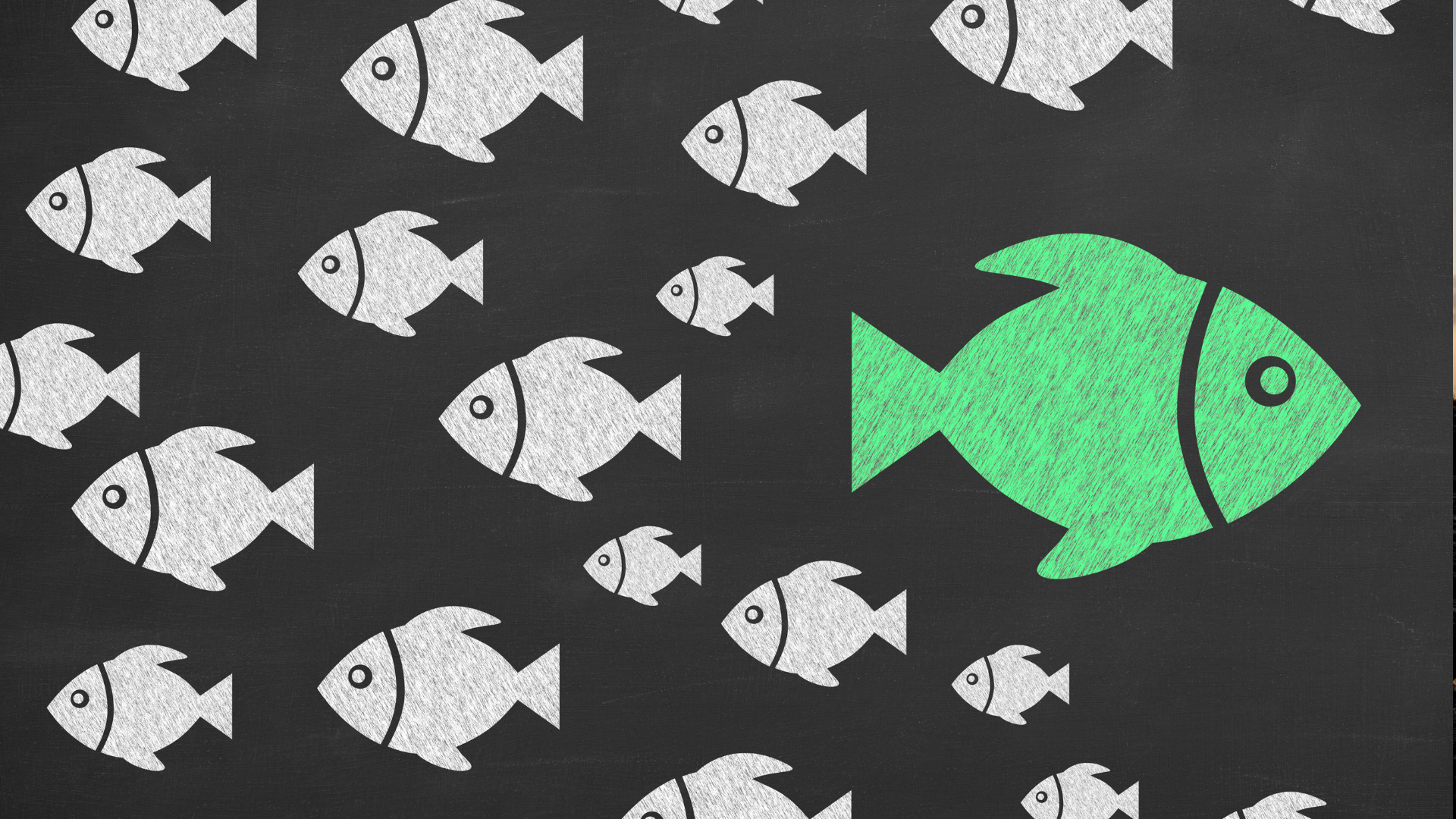 Week 8. Dare to be Different