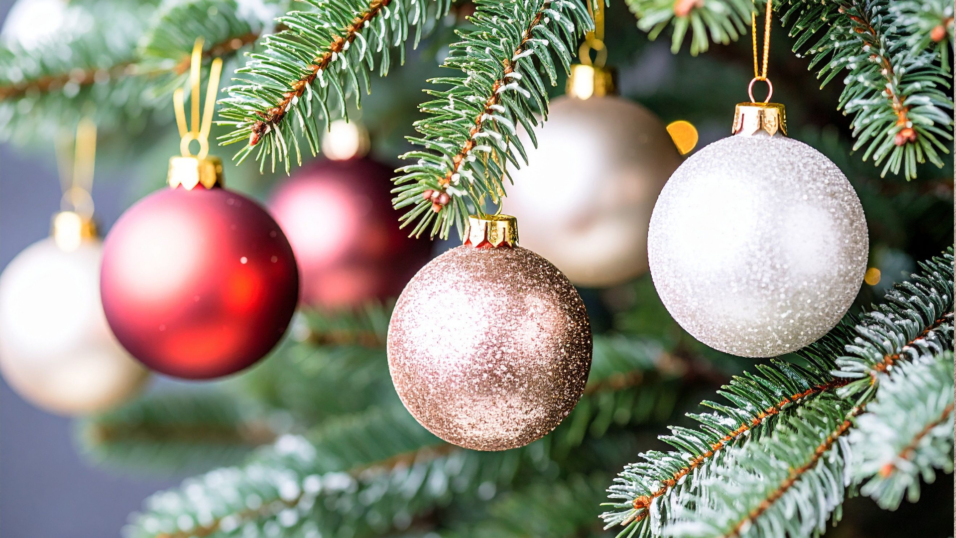 Week 48. The Festive Season