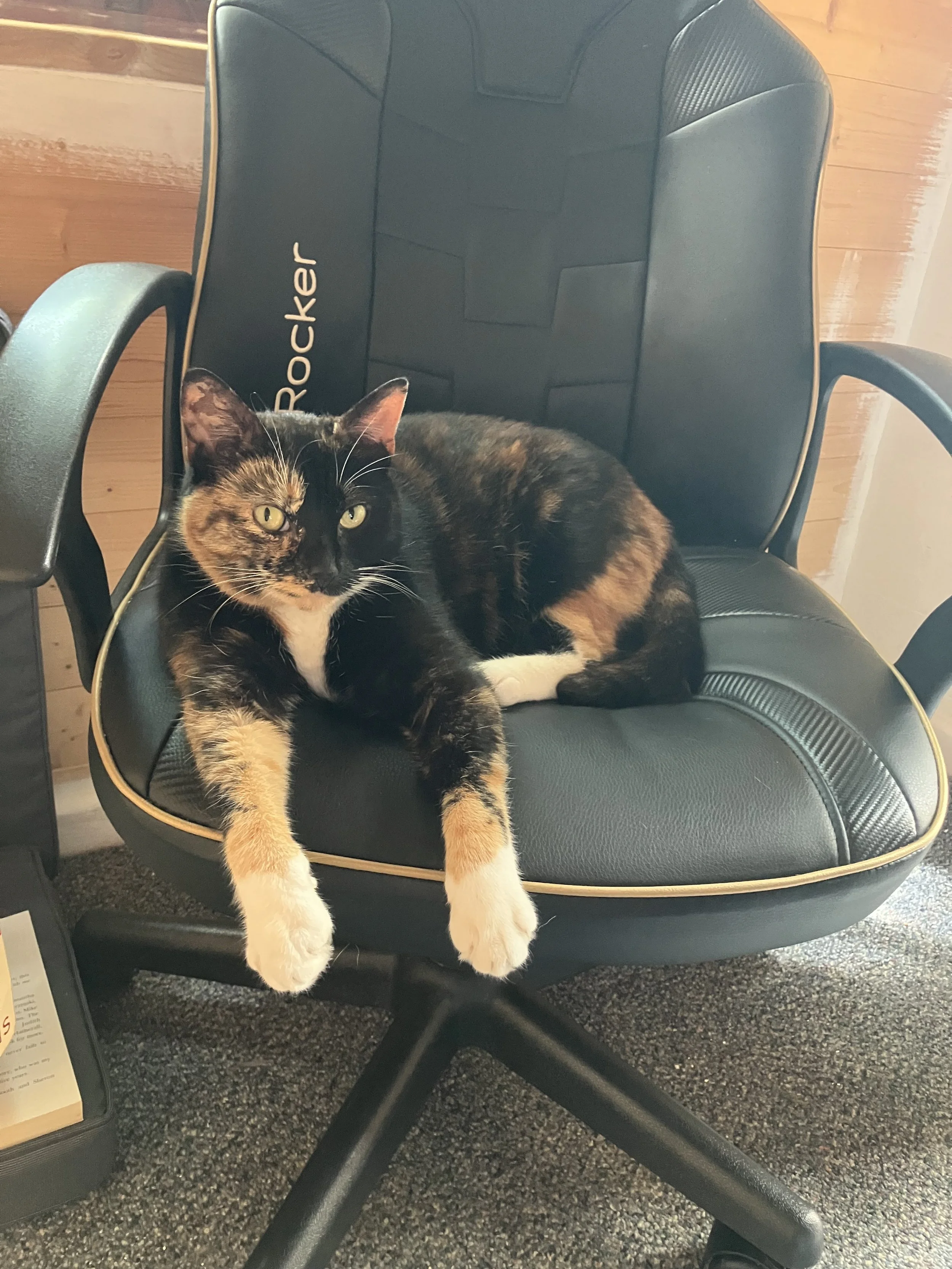 Week 3. Making New Friends