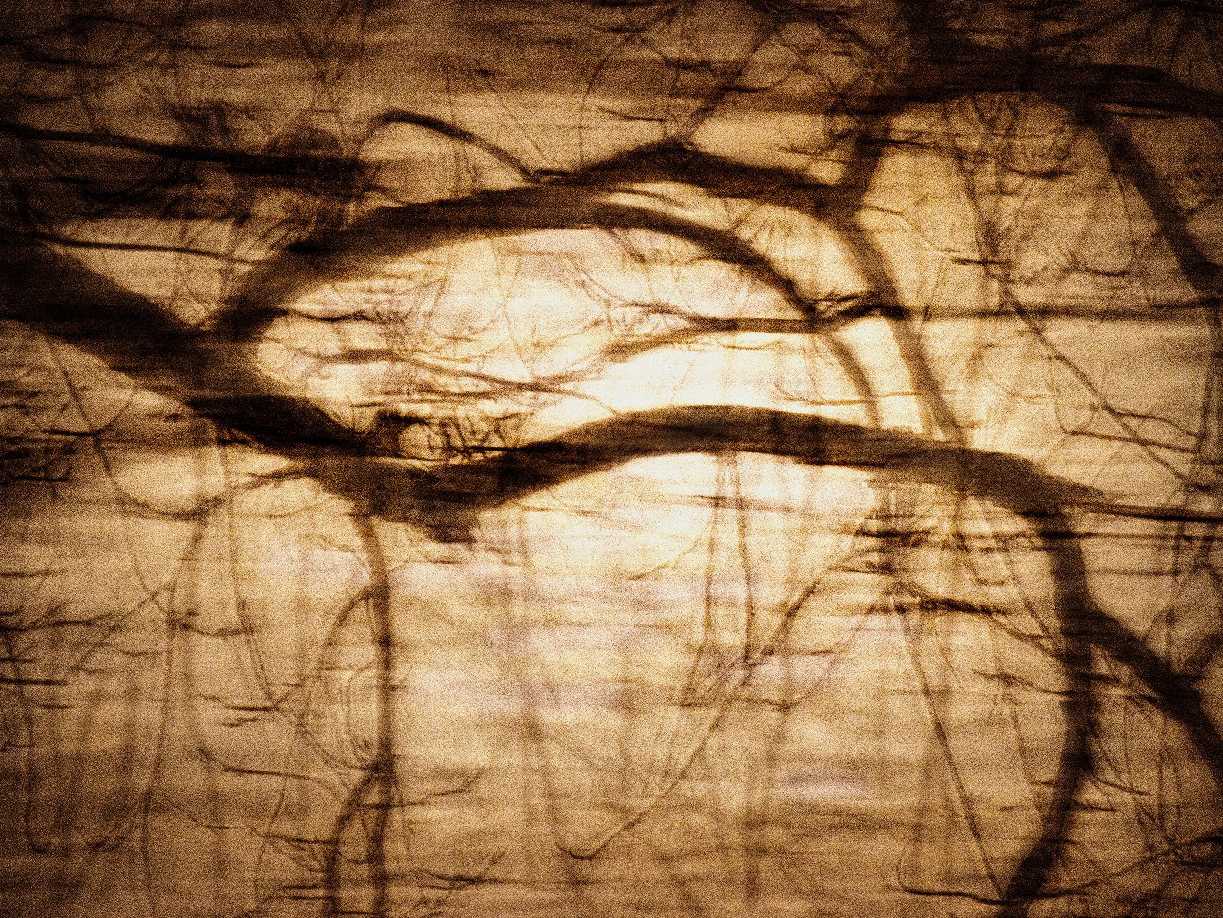 Nuits d'automne en  2022 -2 