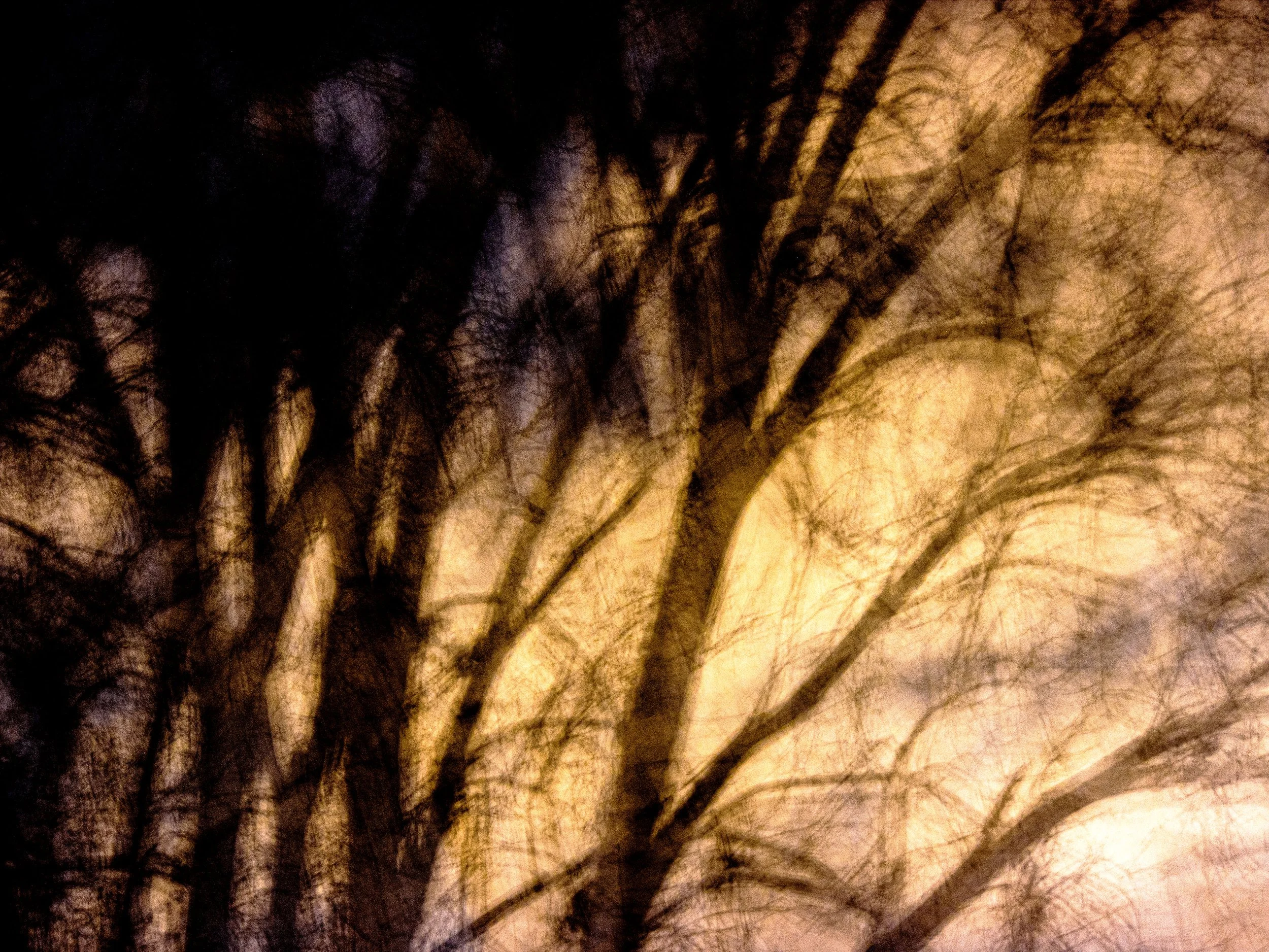 Nuits d'automne en  2022 - 4