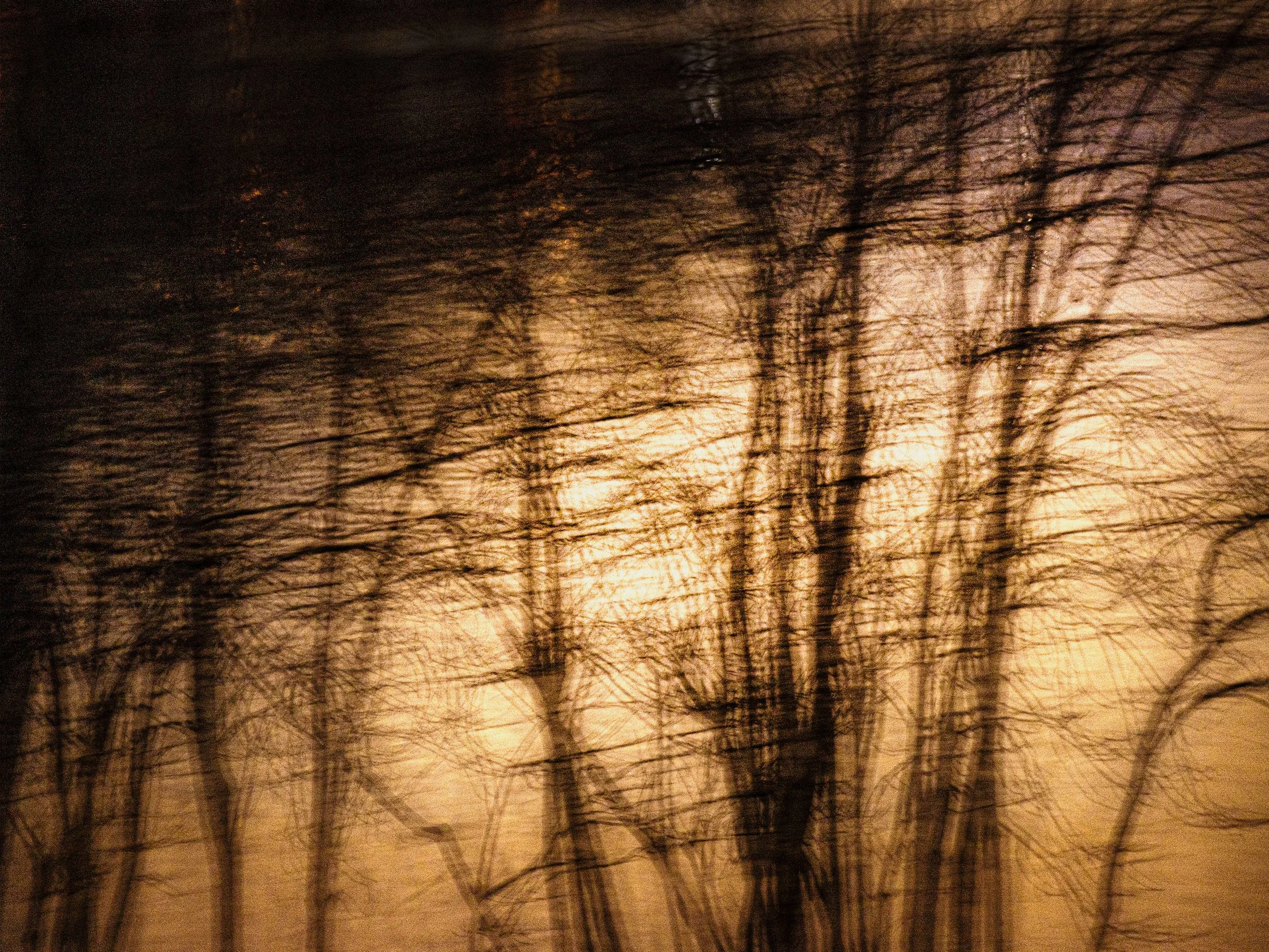 Nuits d'automne en 2022 - 3