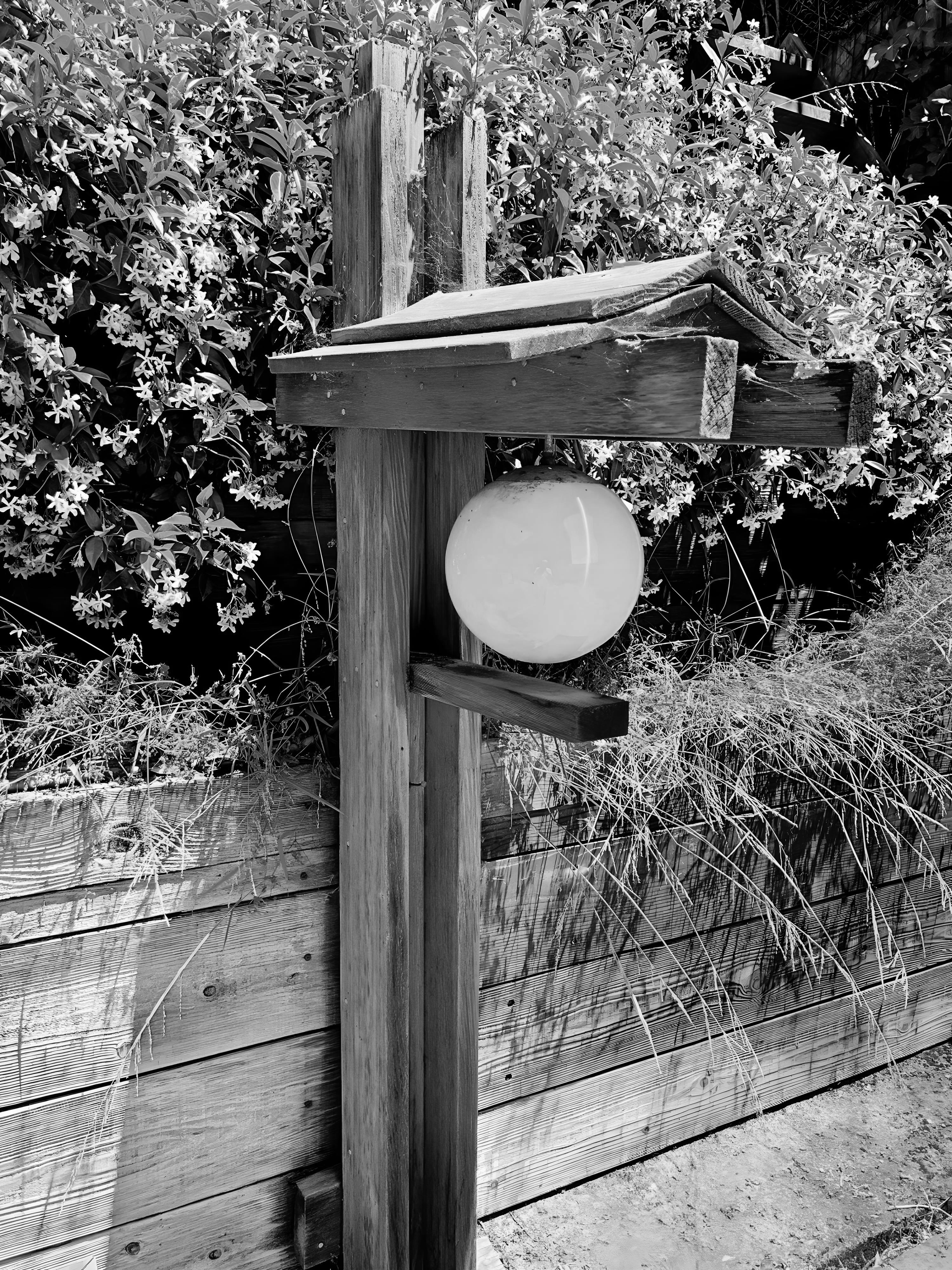 A black and white image of a wooden lantern post with an ornamental roof and a round light globe. It stands in front of a wooden fence, surrounded by flowering vines and plants.