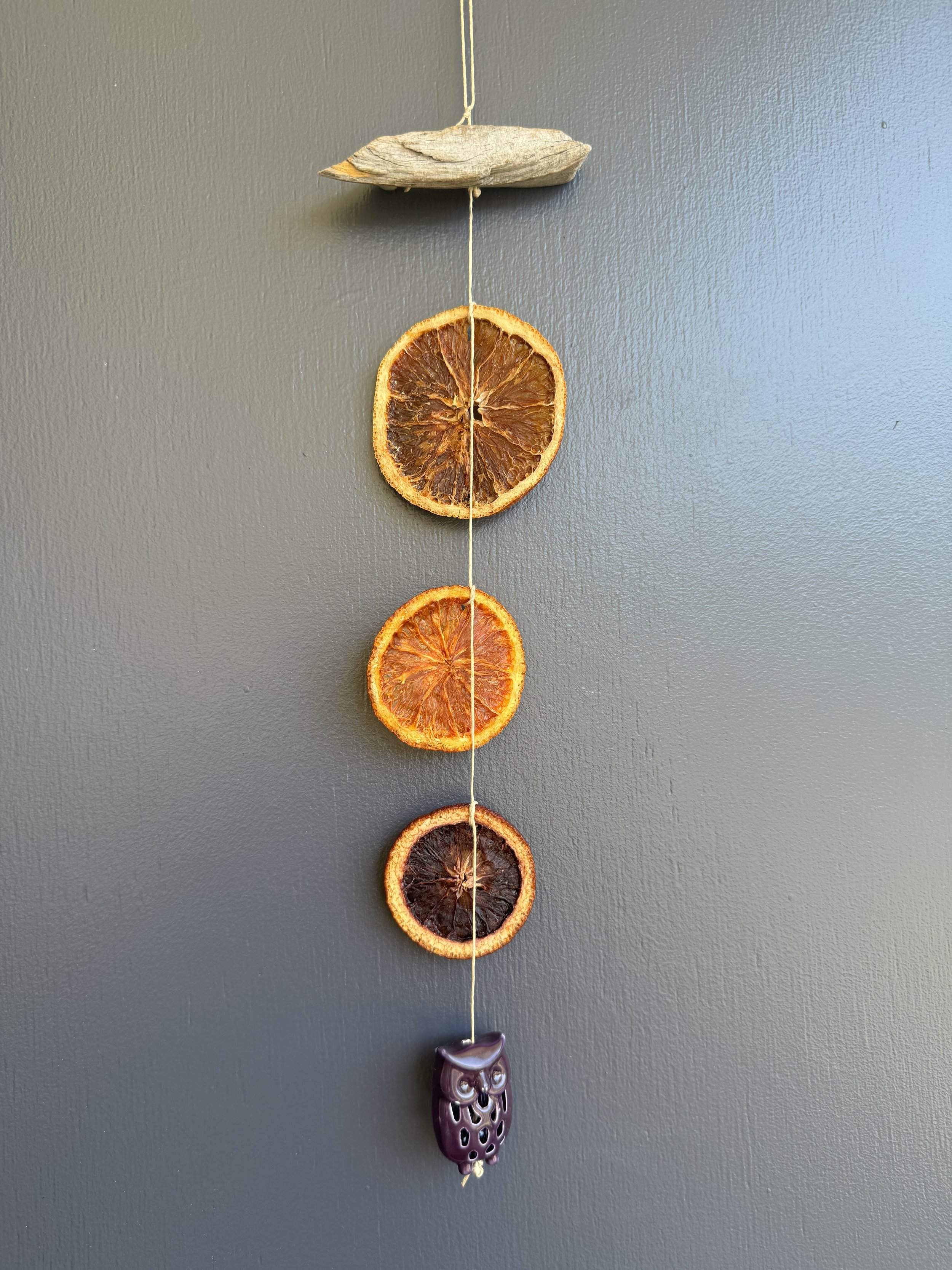 Citrus Single Strand