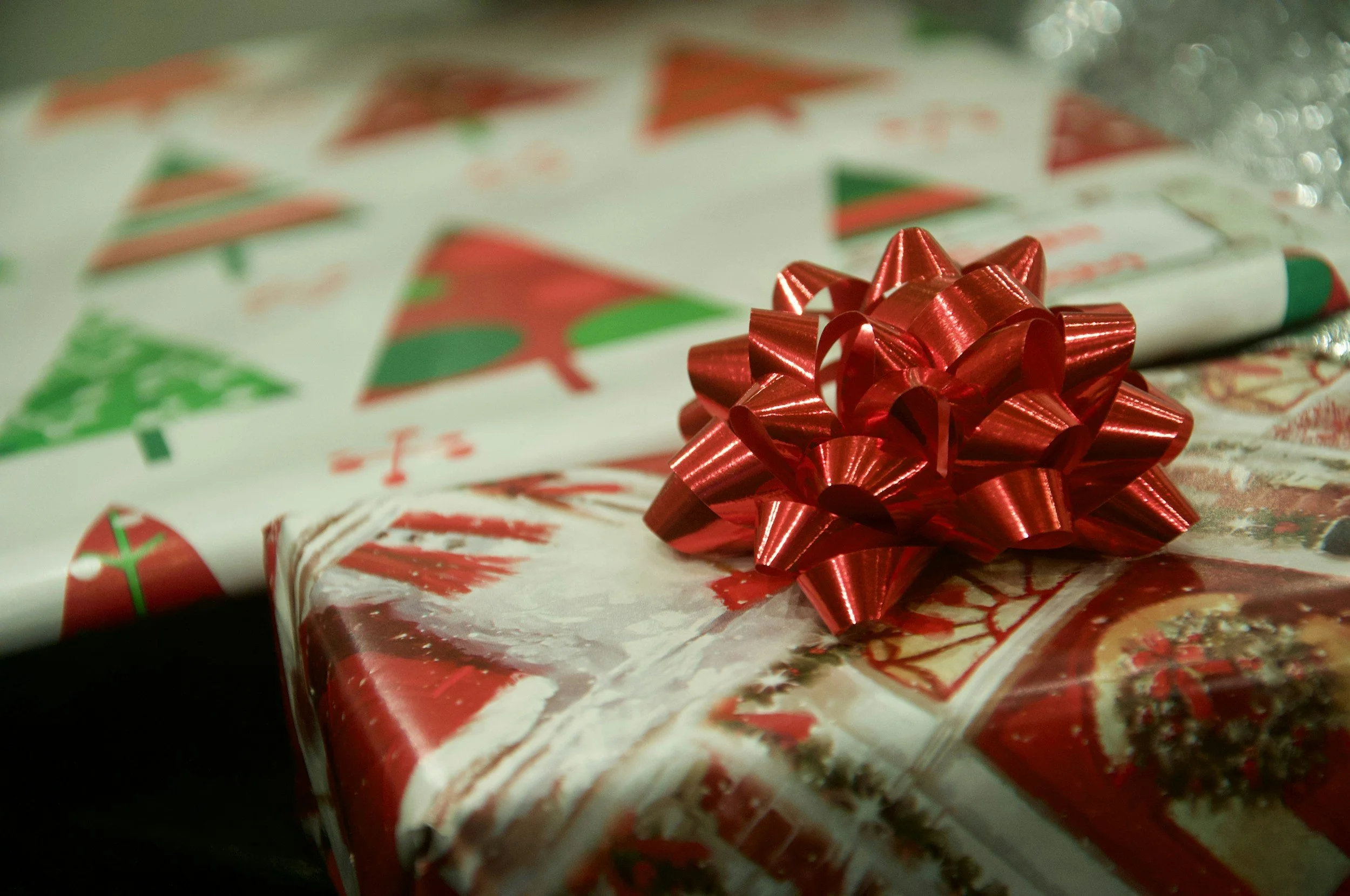 A Texas Christmas: Planting Seeds of Hope for the New Year