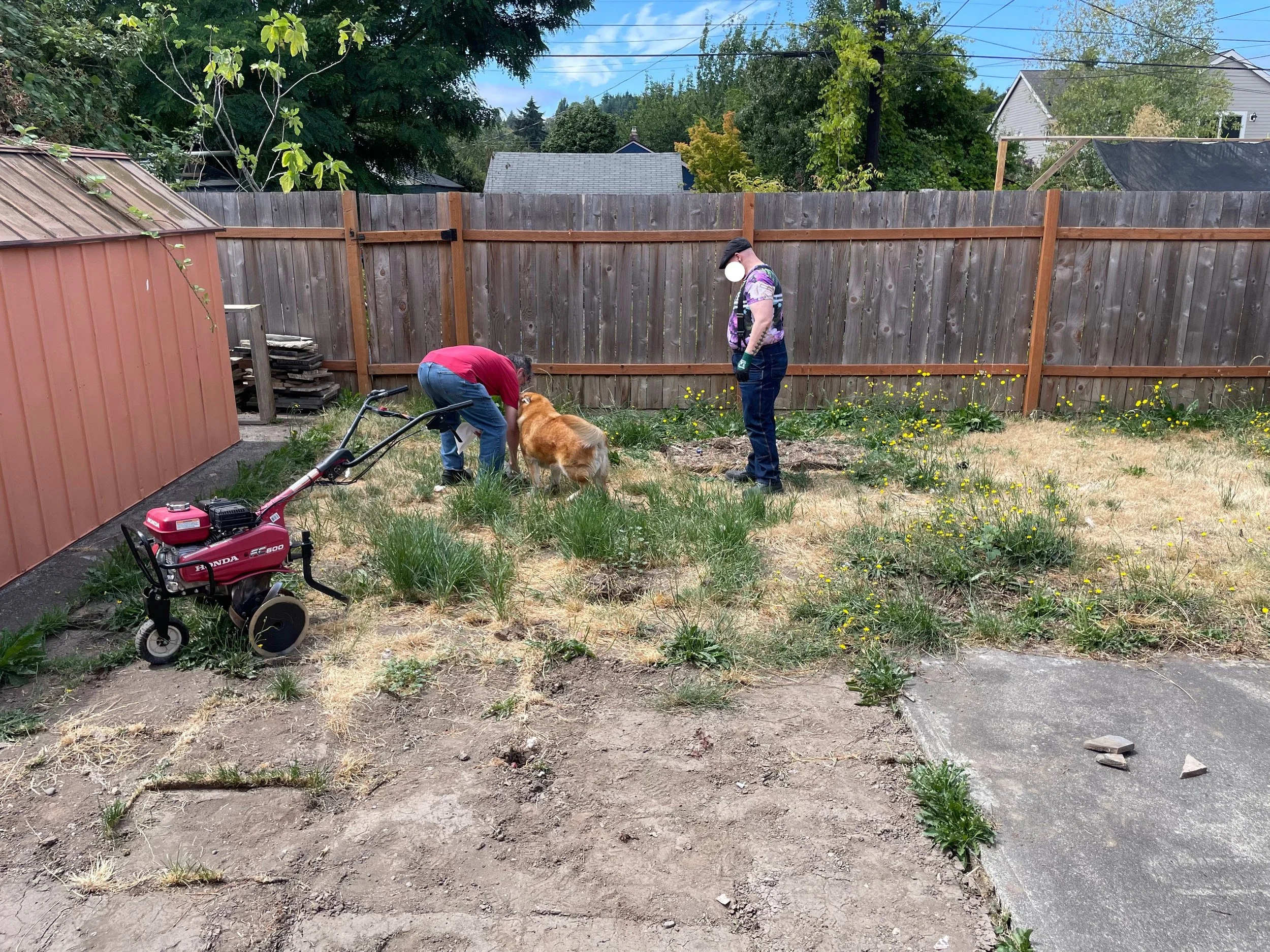 Volunteers help with the yard