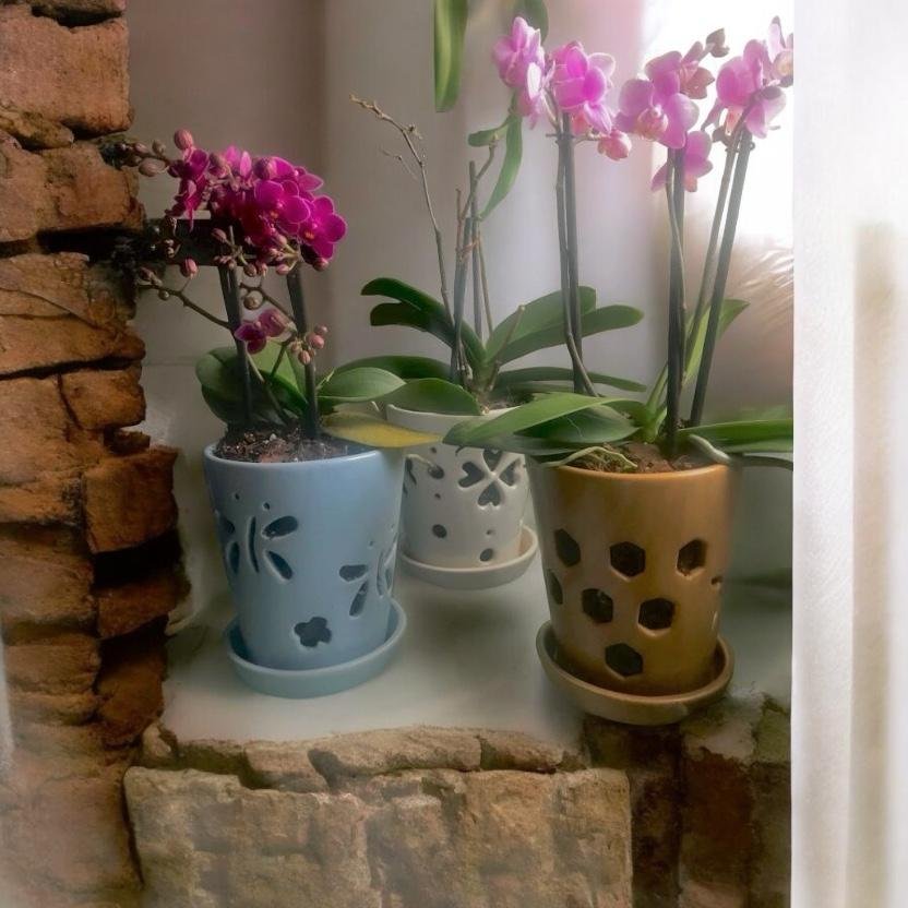 Maceta para Orquídea con plato