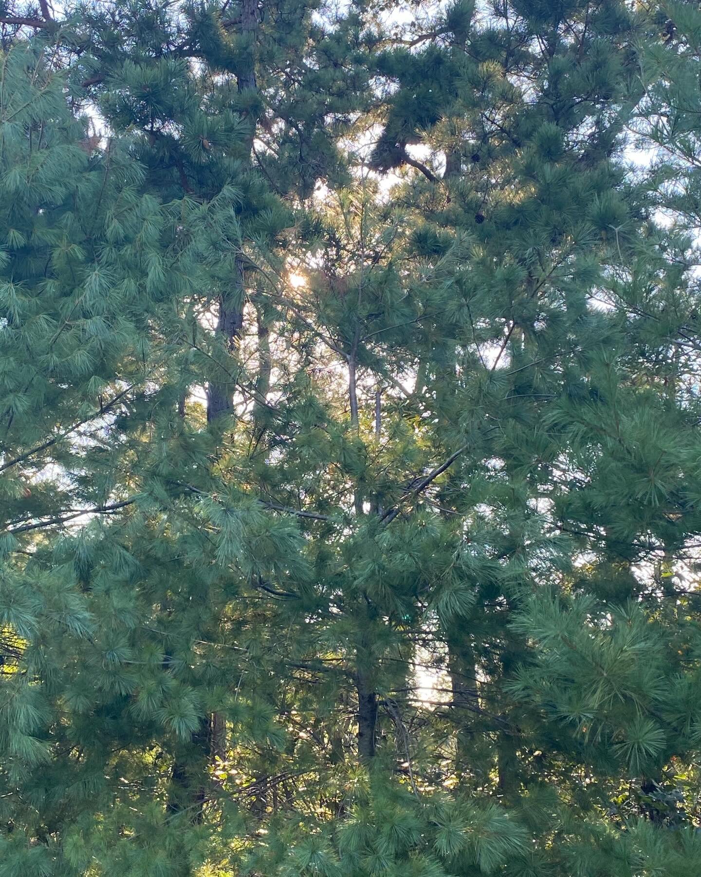 Book cover base image