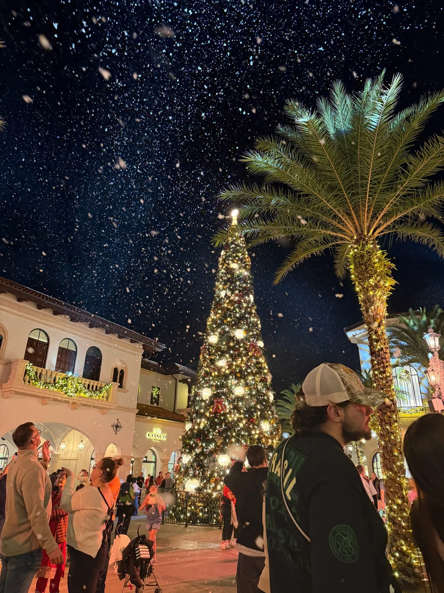 Disney Springs 11/17/25