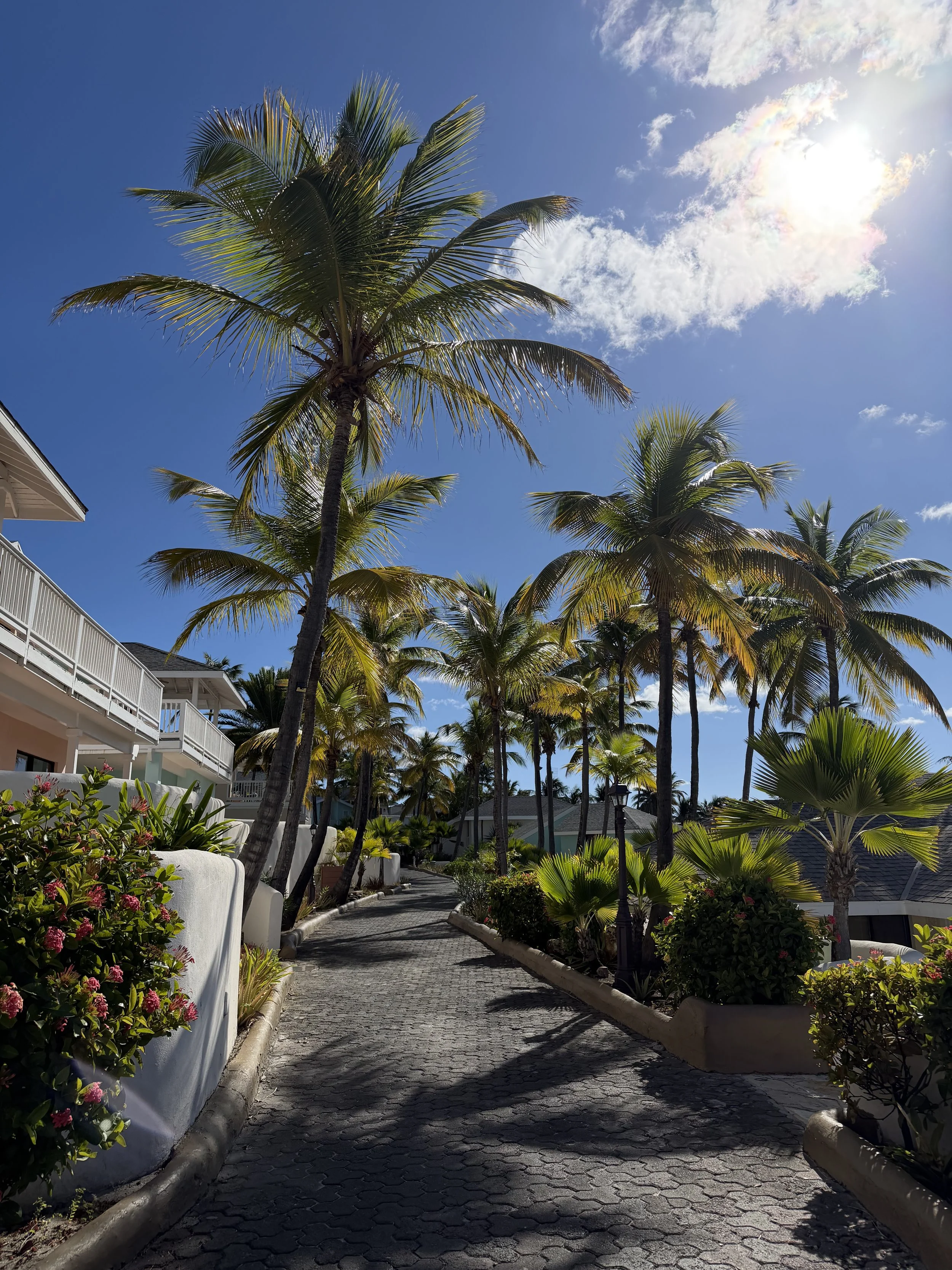 Antigua 12/27/25