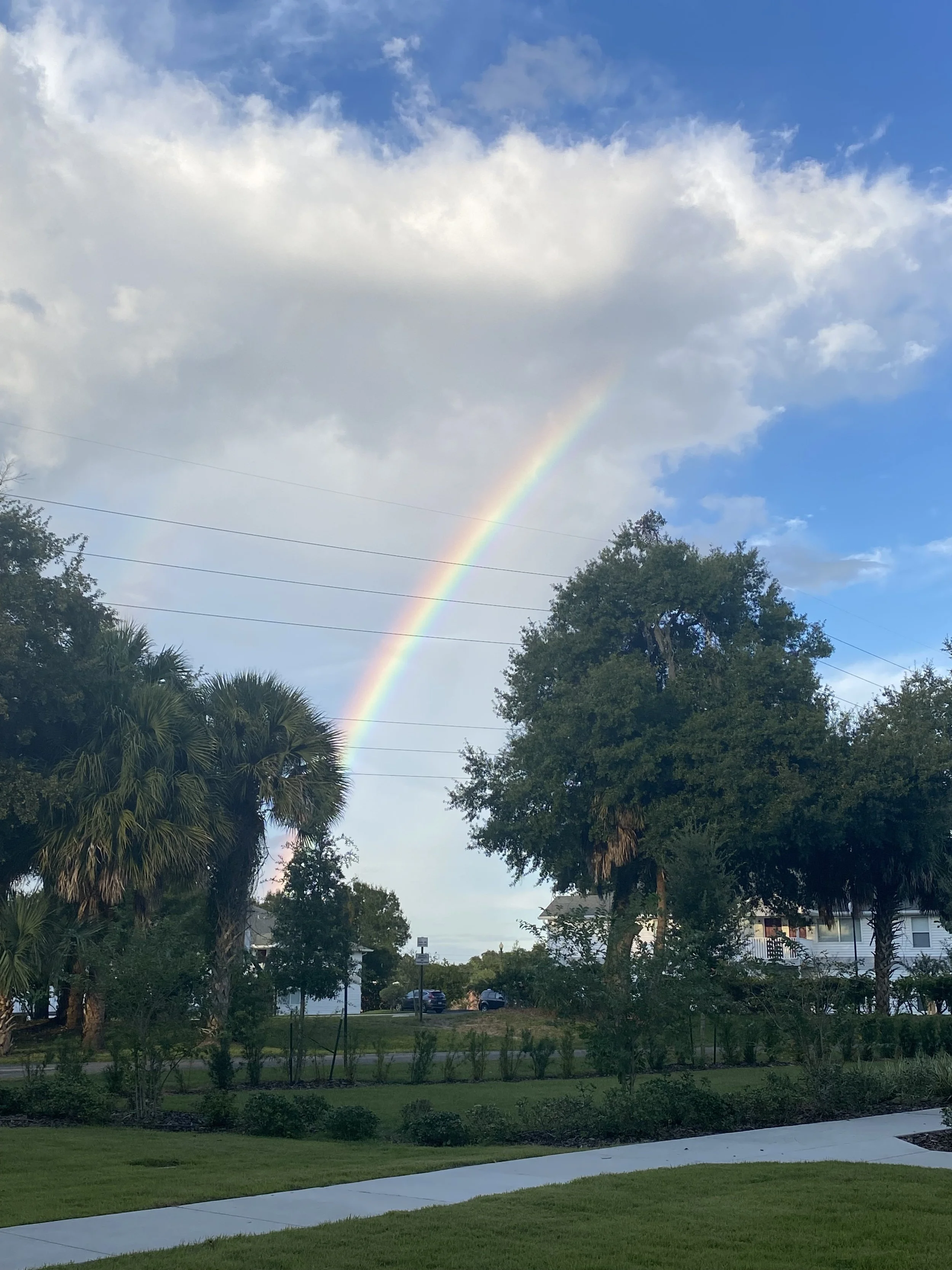 Rainbow 10/4/21