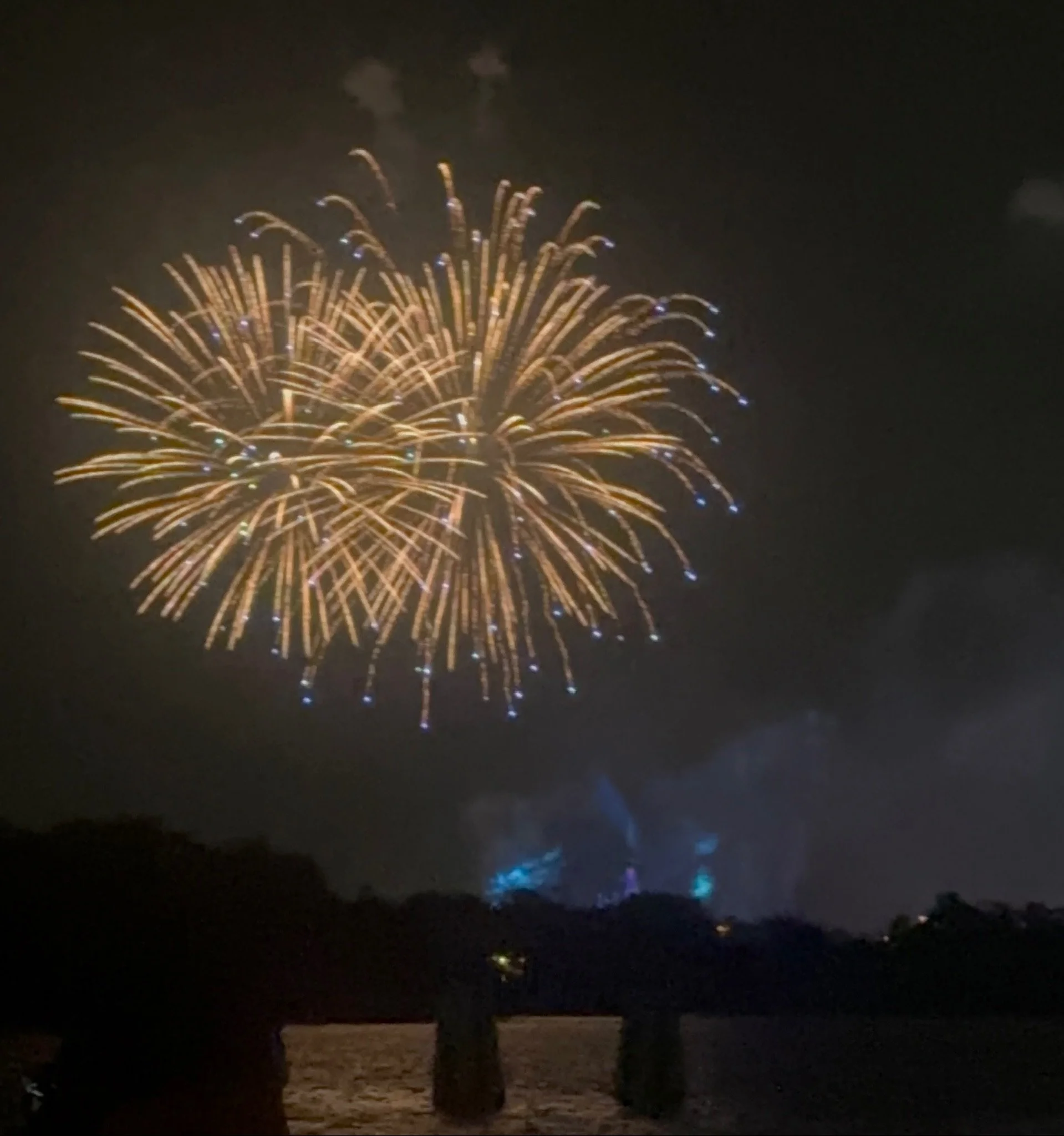 Disney's Polynesian Village Resort 7/29/25