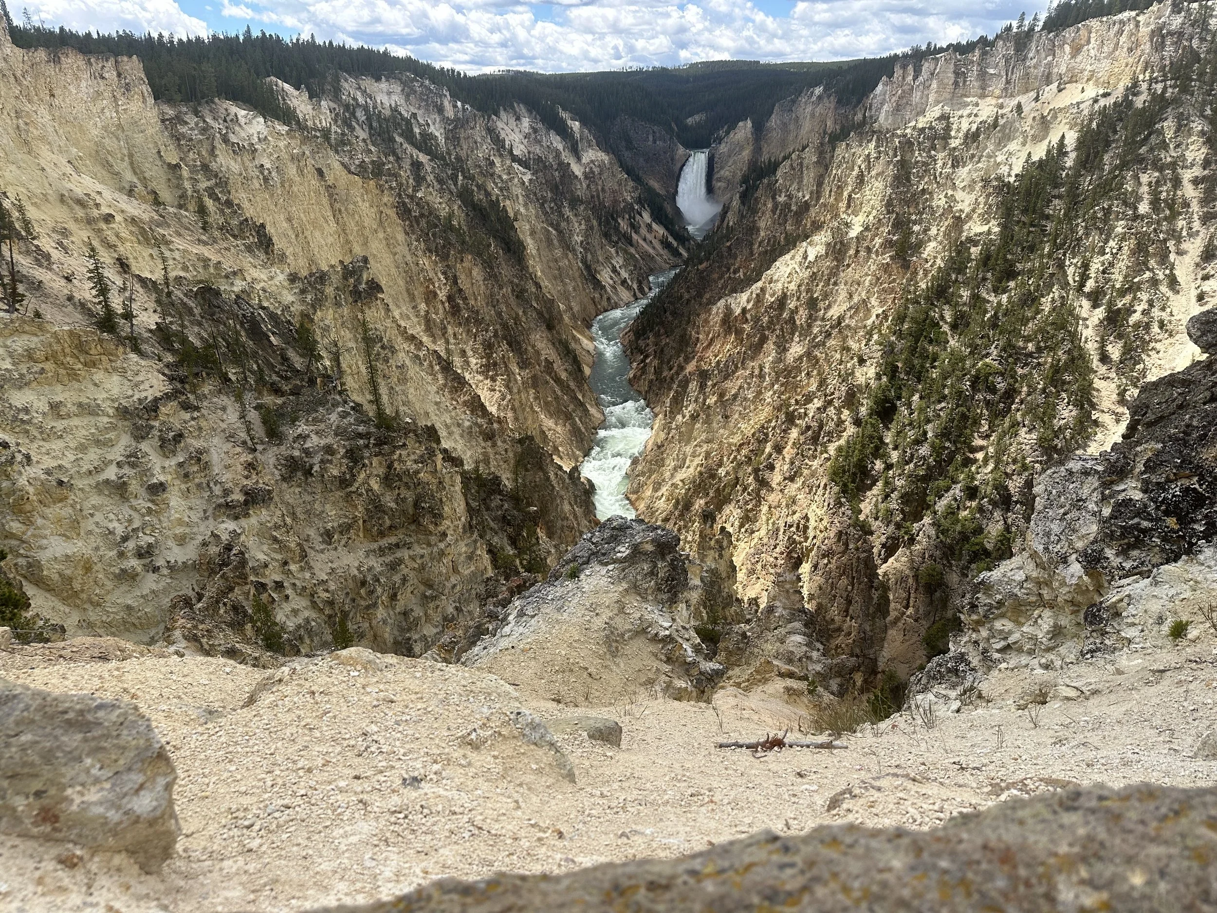 Yellowstone 7/2/24