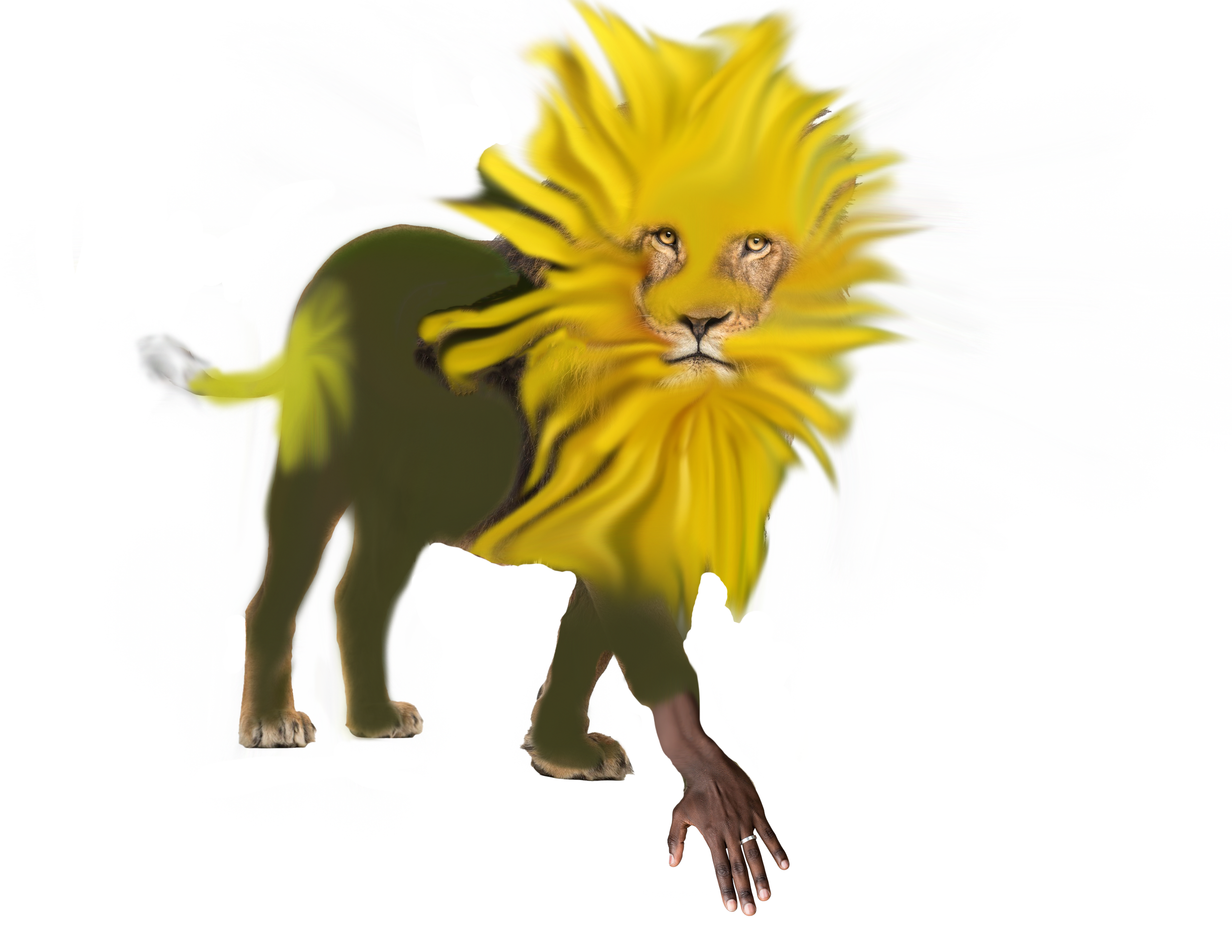 Handy Dandy Lion