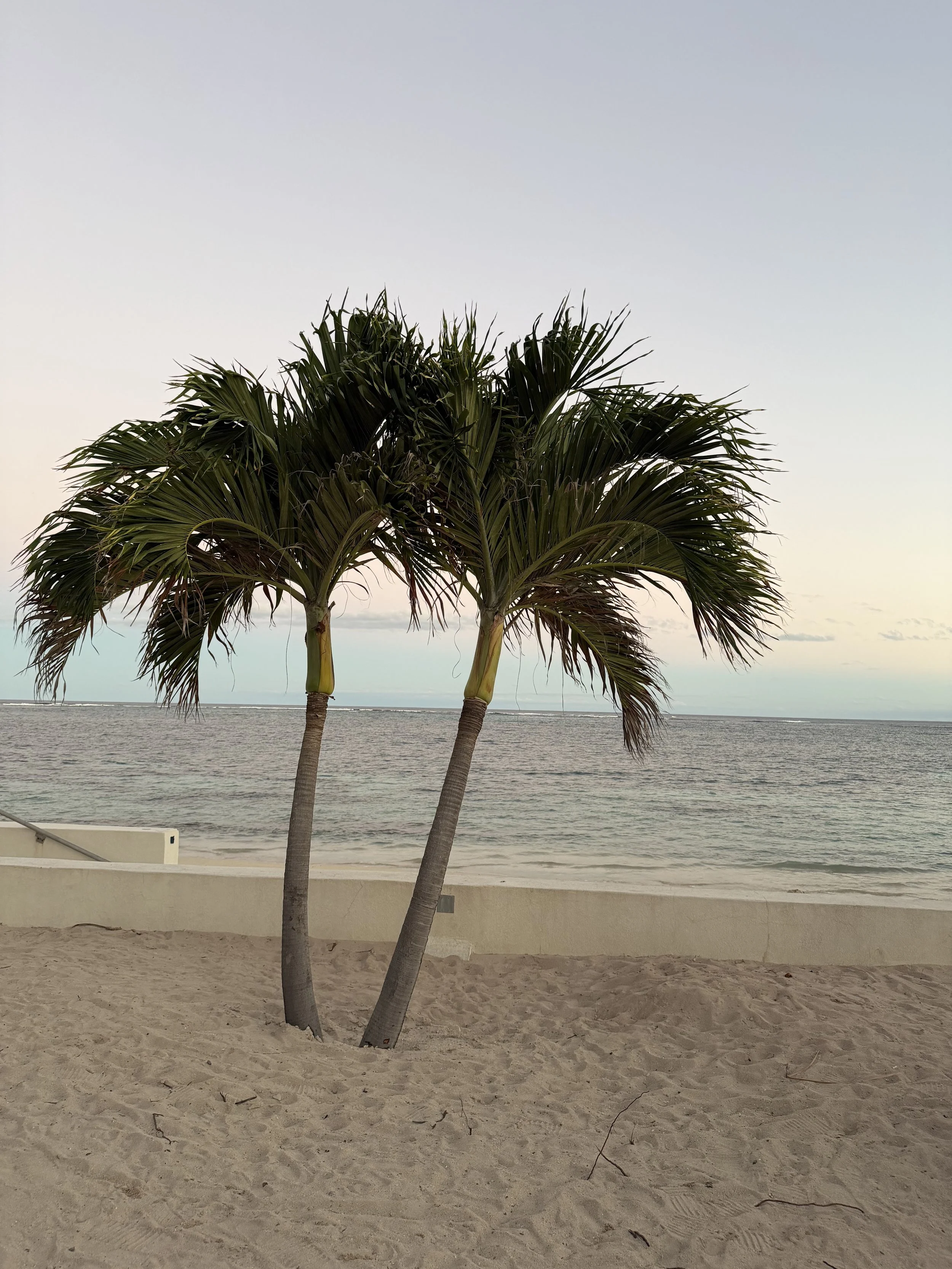 Antigua 12/28/25