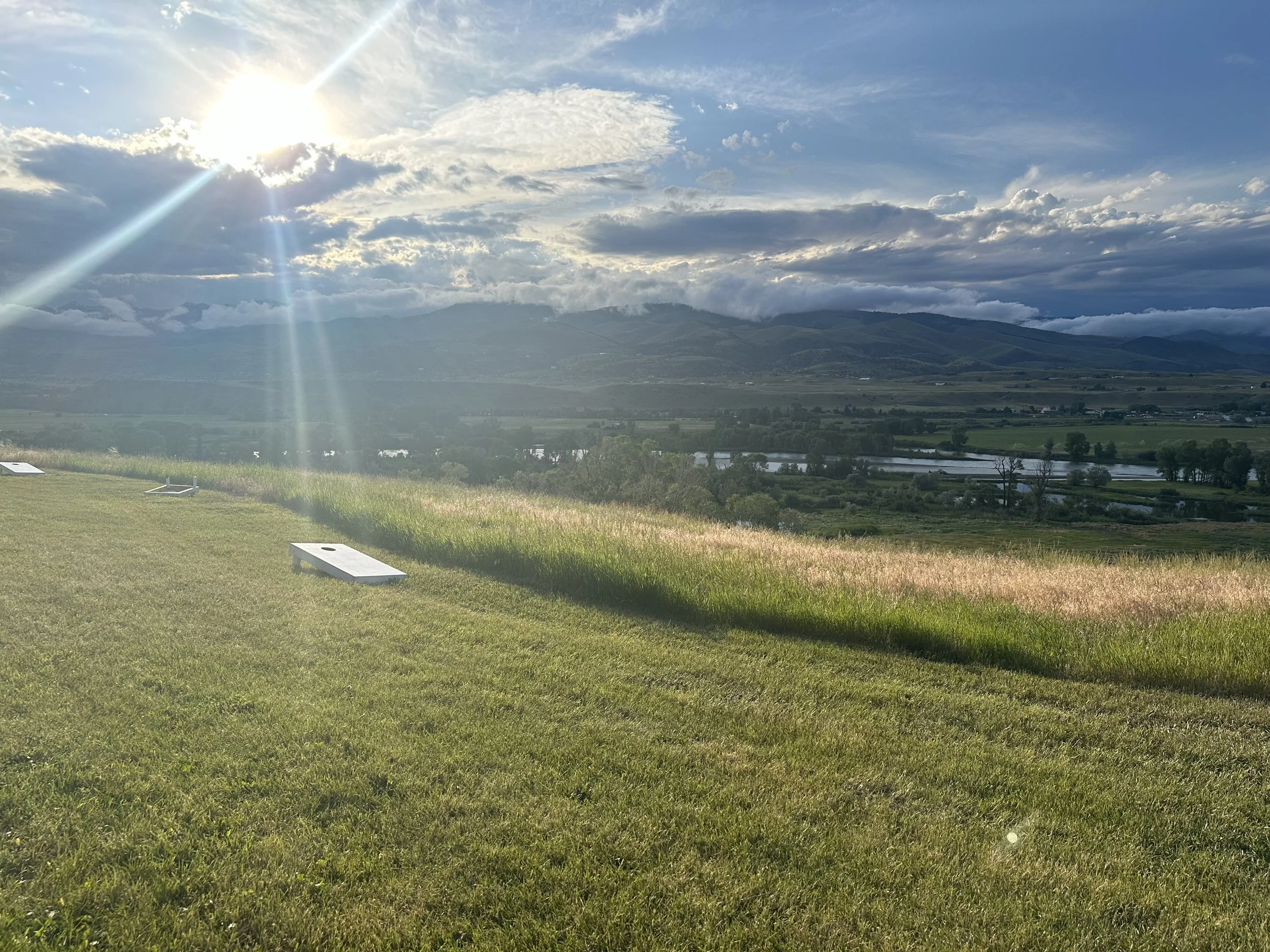 Field Landscape 6/30/24