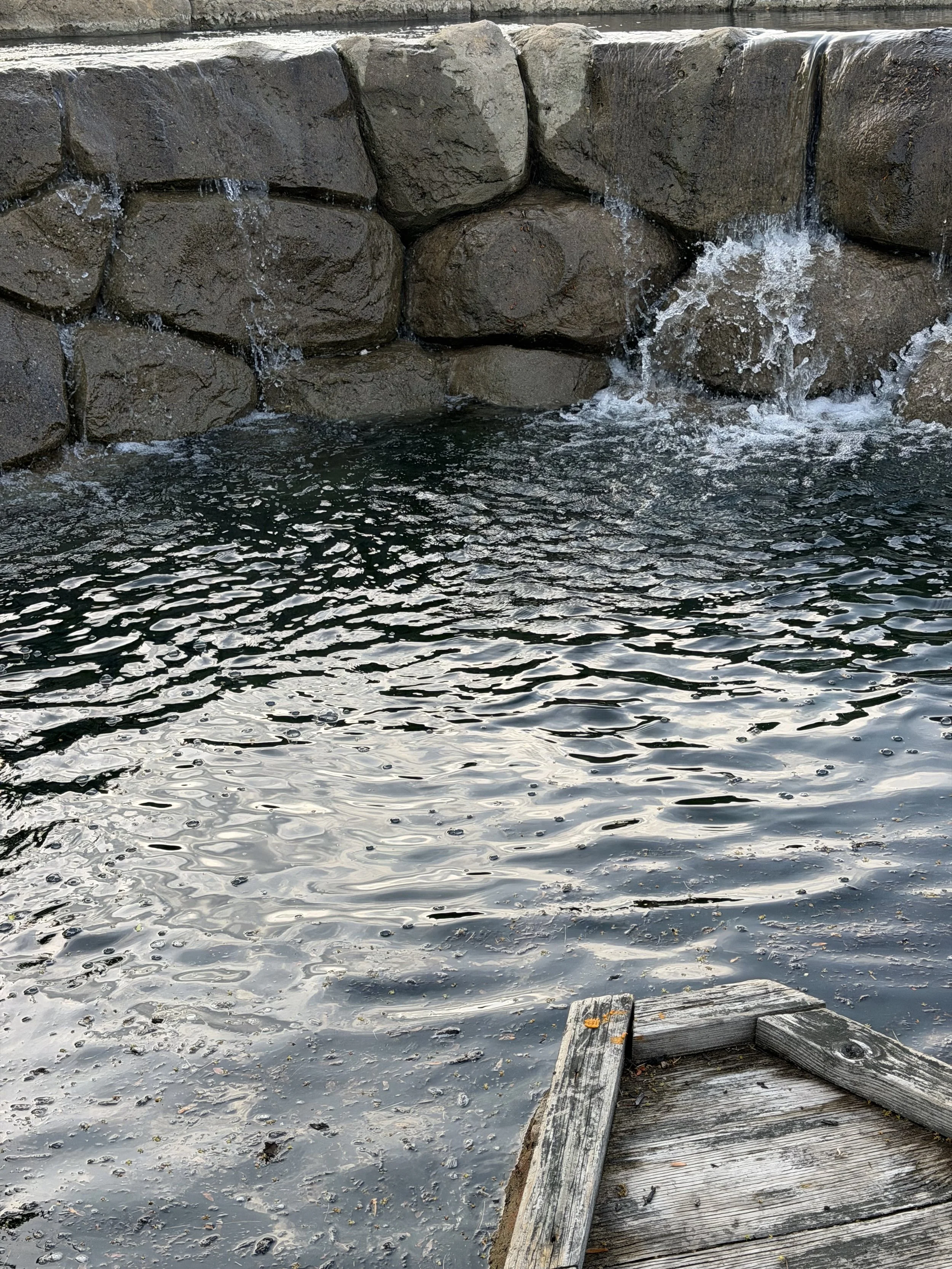 Water 5/16/26