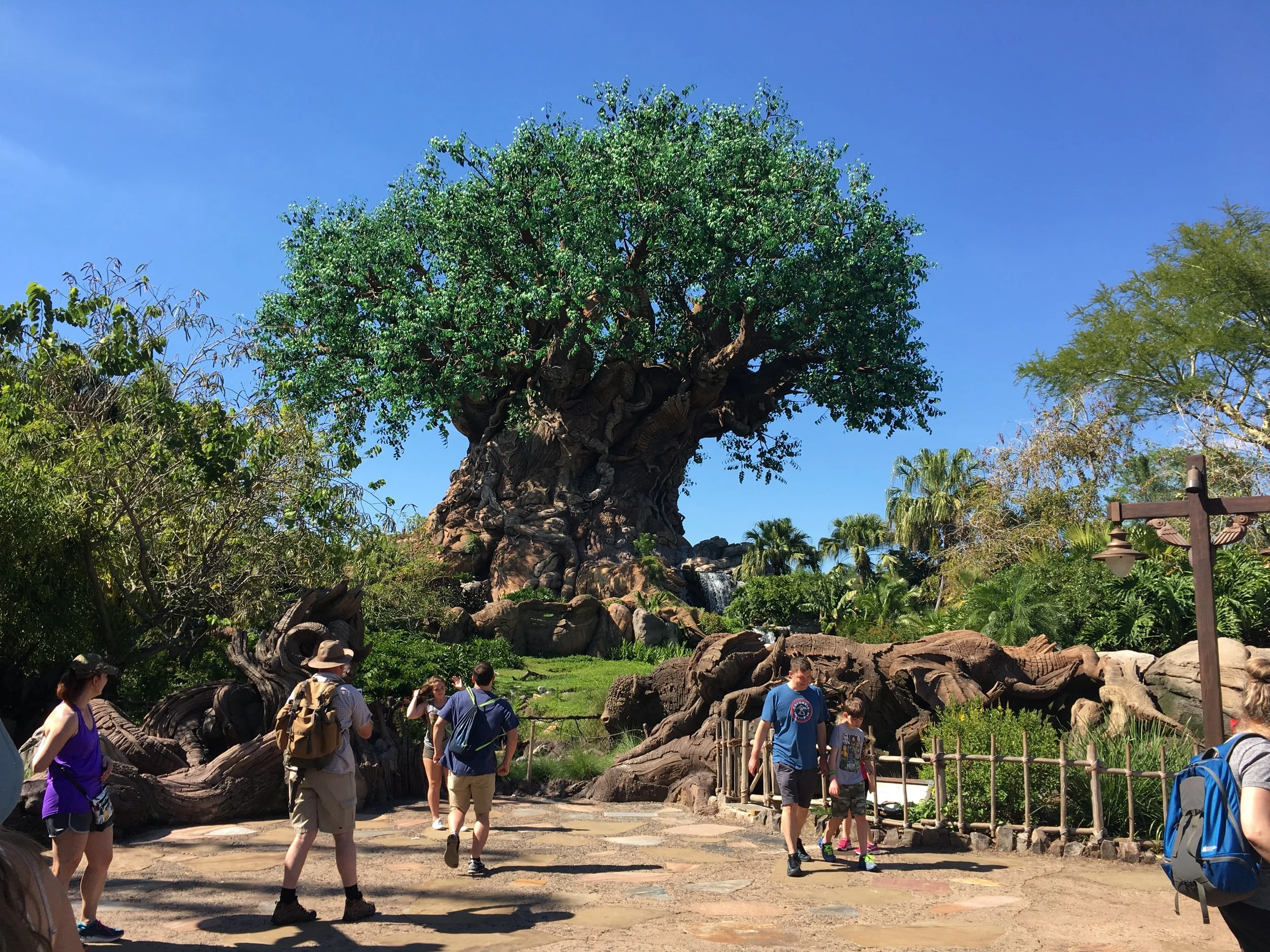 Animal Kingdom 4/26/24