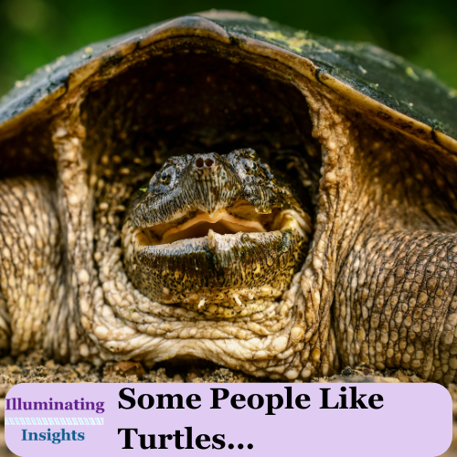 Some People Like Turtles…