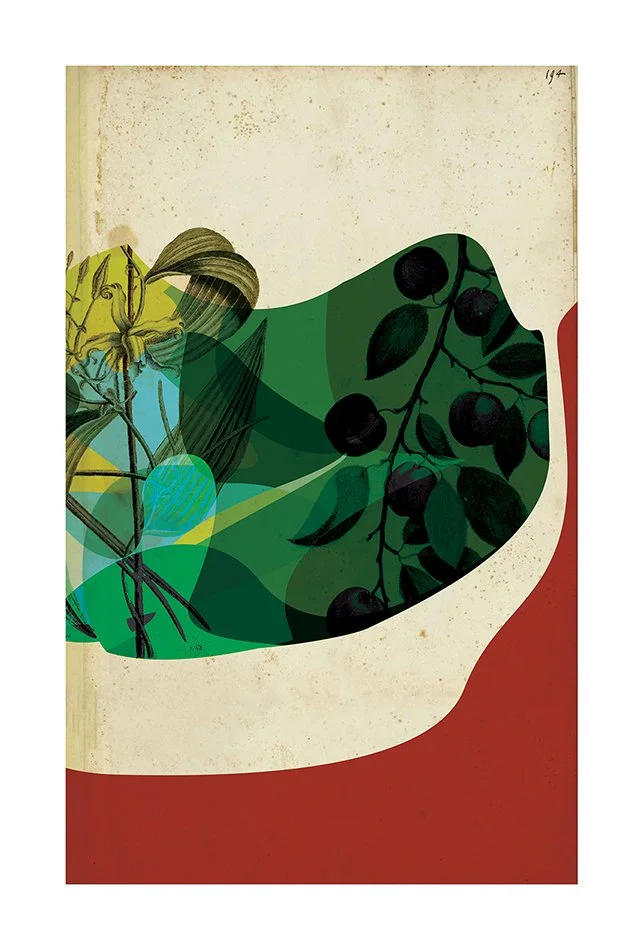 book_cover.jpg