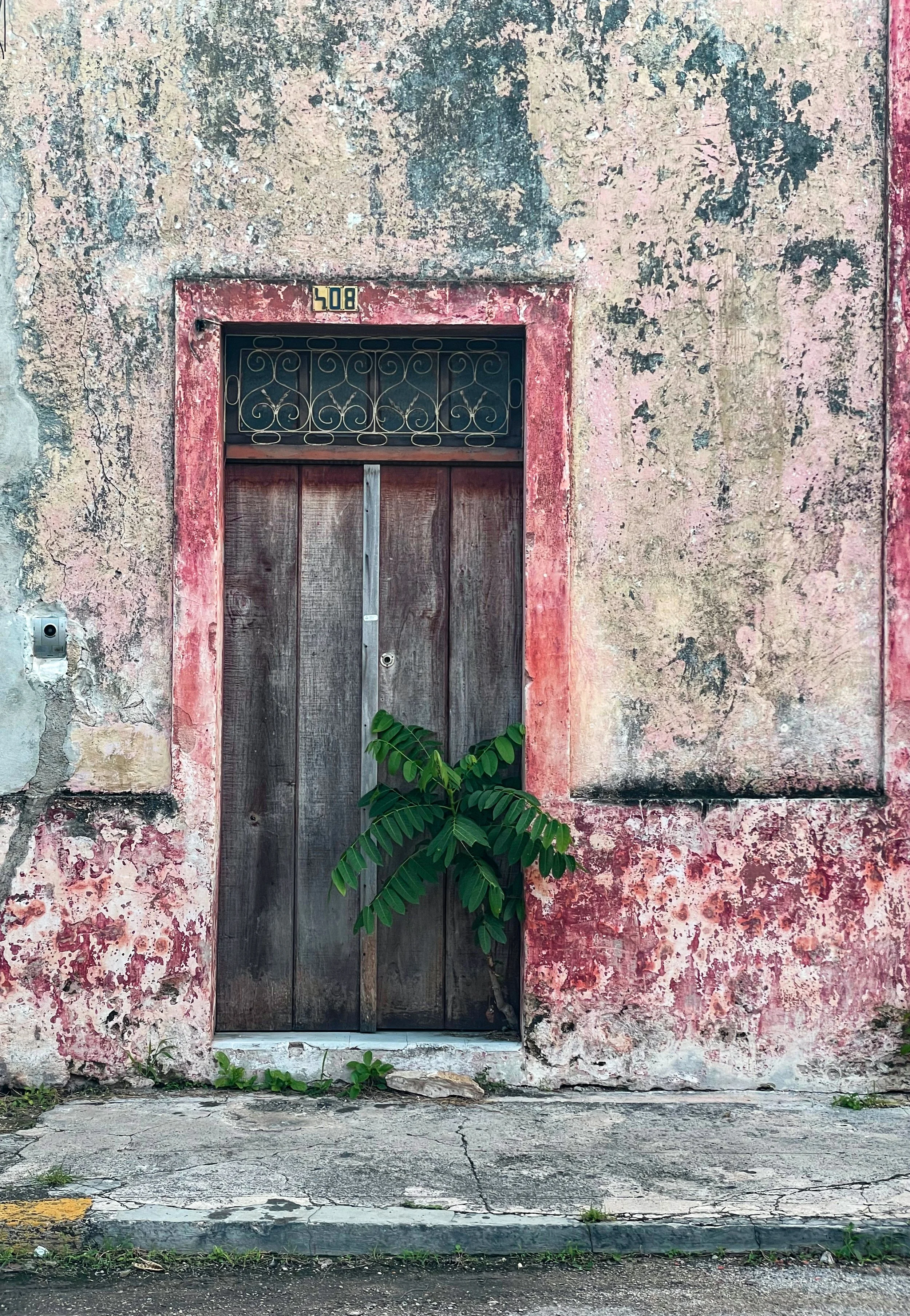 mexico-door2.jpg