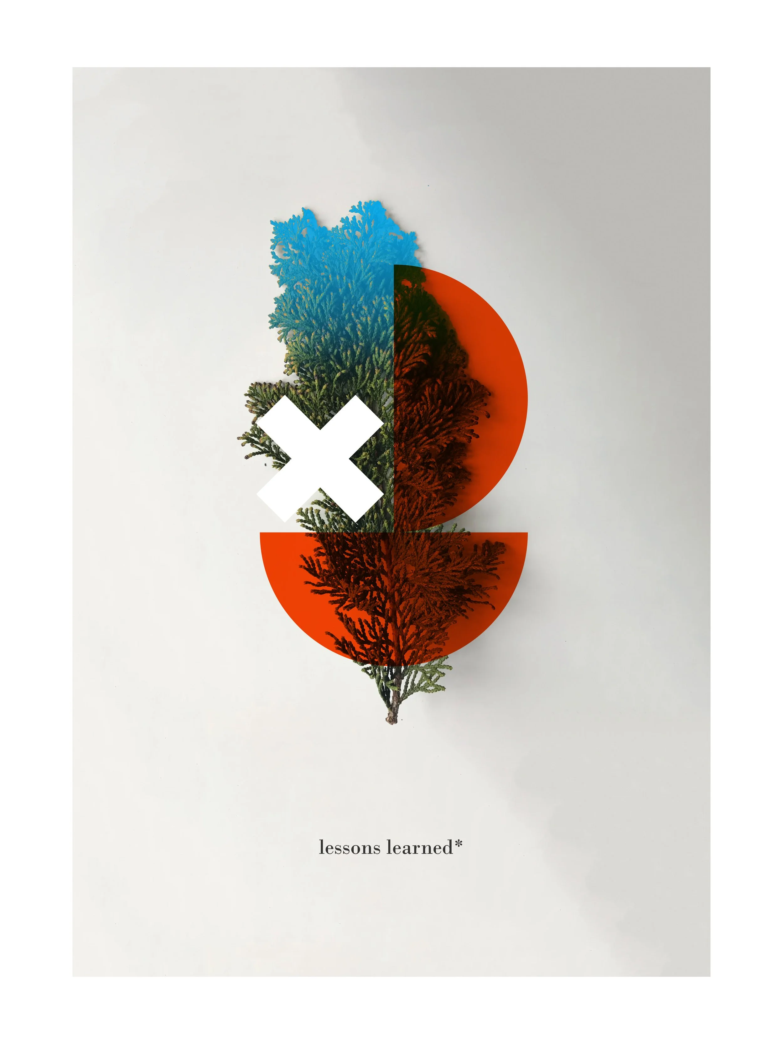 collage7-lessons.jpg