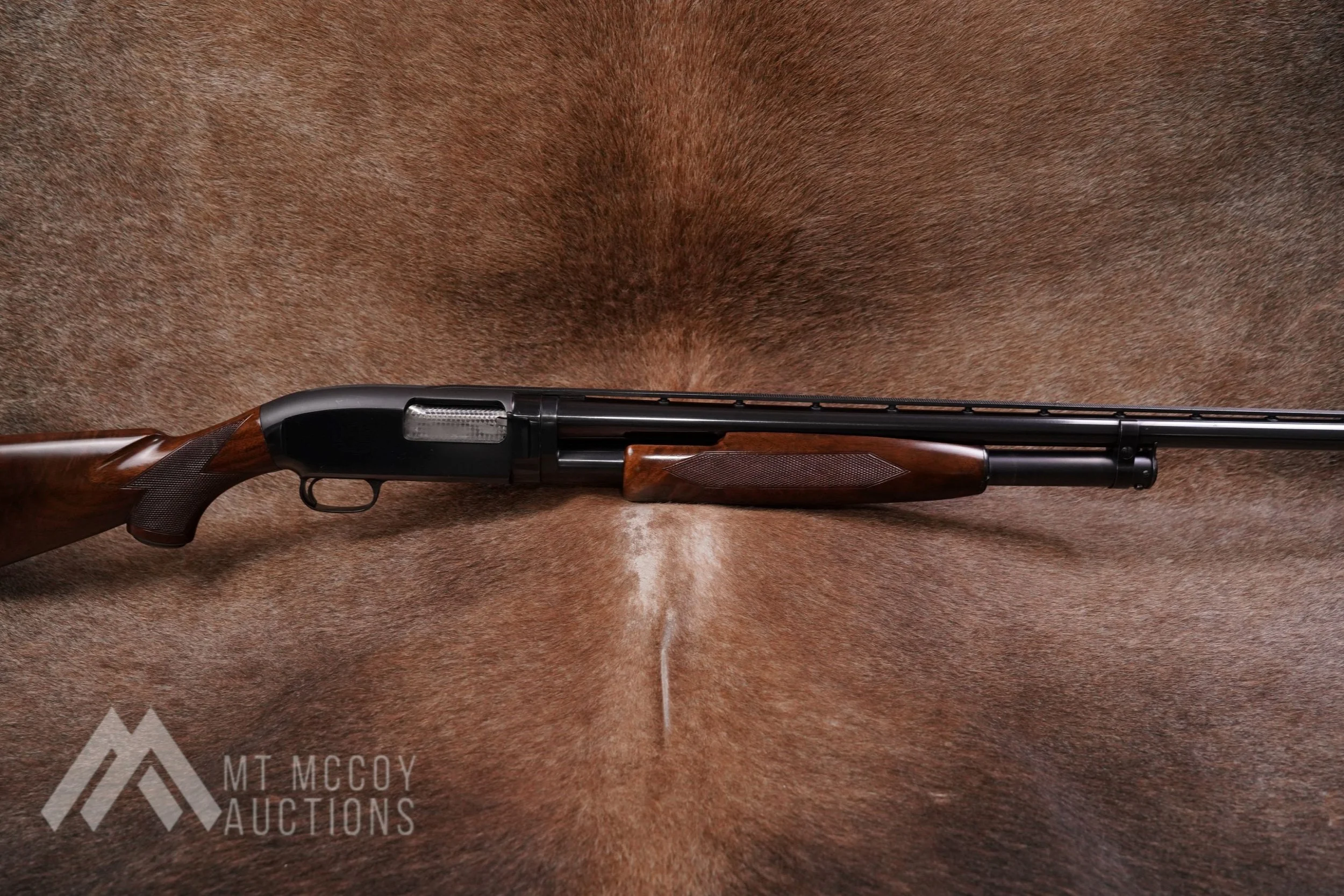 Winchester Model 12 Heavy Duck Gun Pigeon Grade 12 Gauge Pump Shotgun 1954