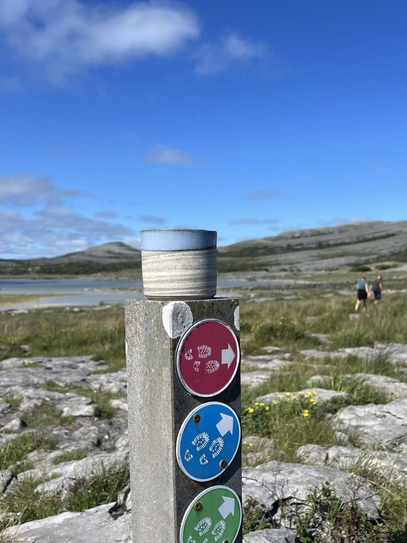 Color-coded hiking trail signpost with directional arrows and boot-print symbols in a rocky mountain landscape