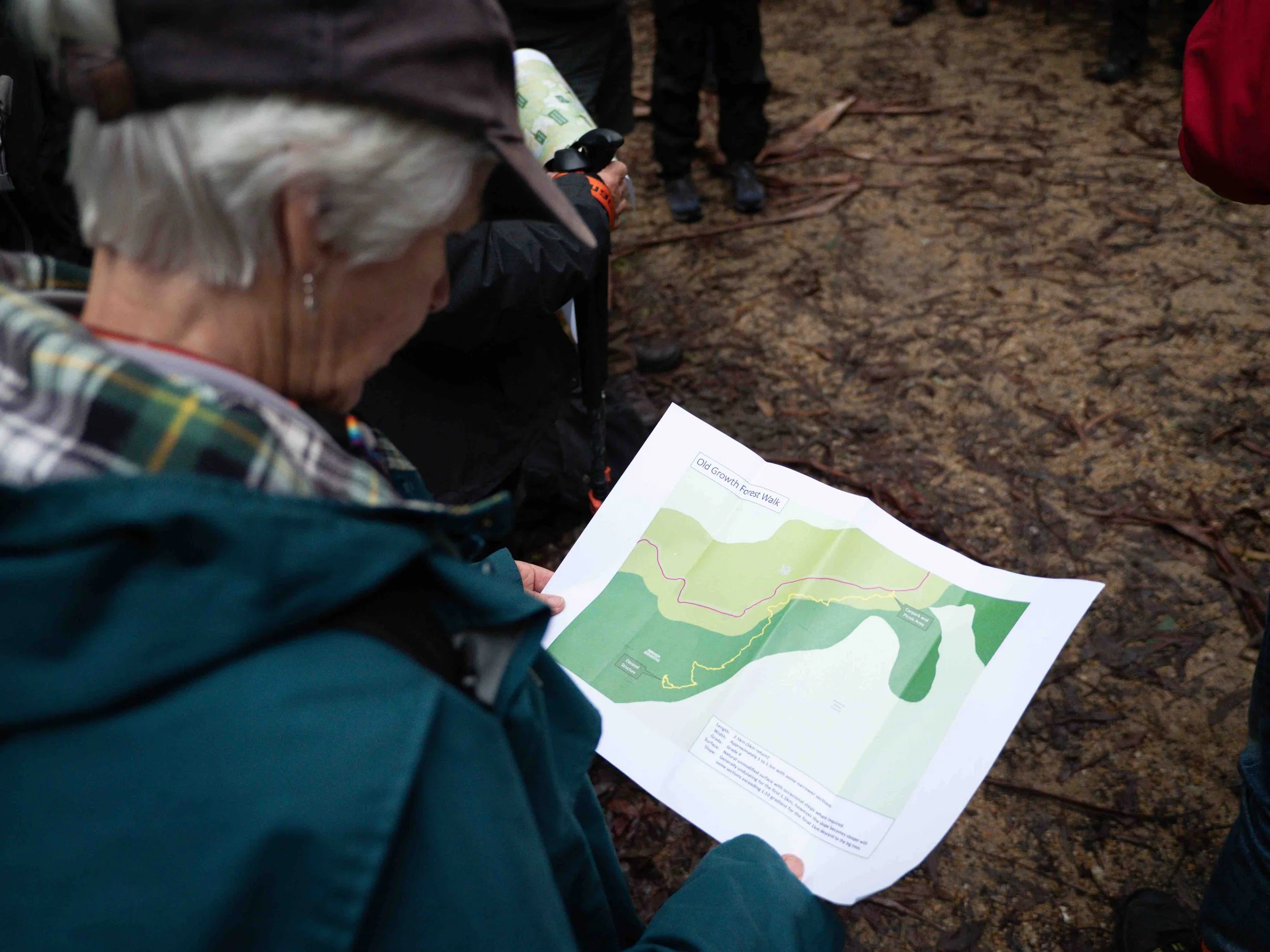Older woman with gray hair wearing a hat and plaid shirt holding a map of a trail called 'Old Growth Forest Walk' while standing on a muddy trail surrounded by other hikers.