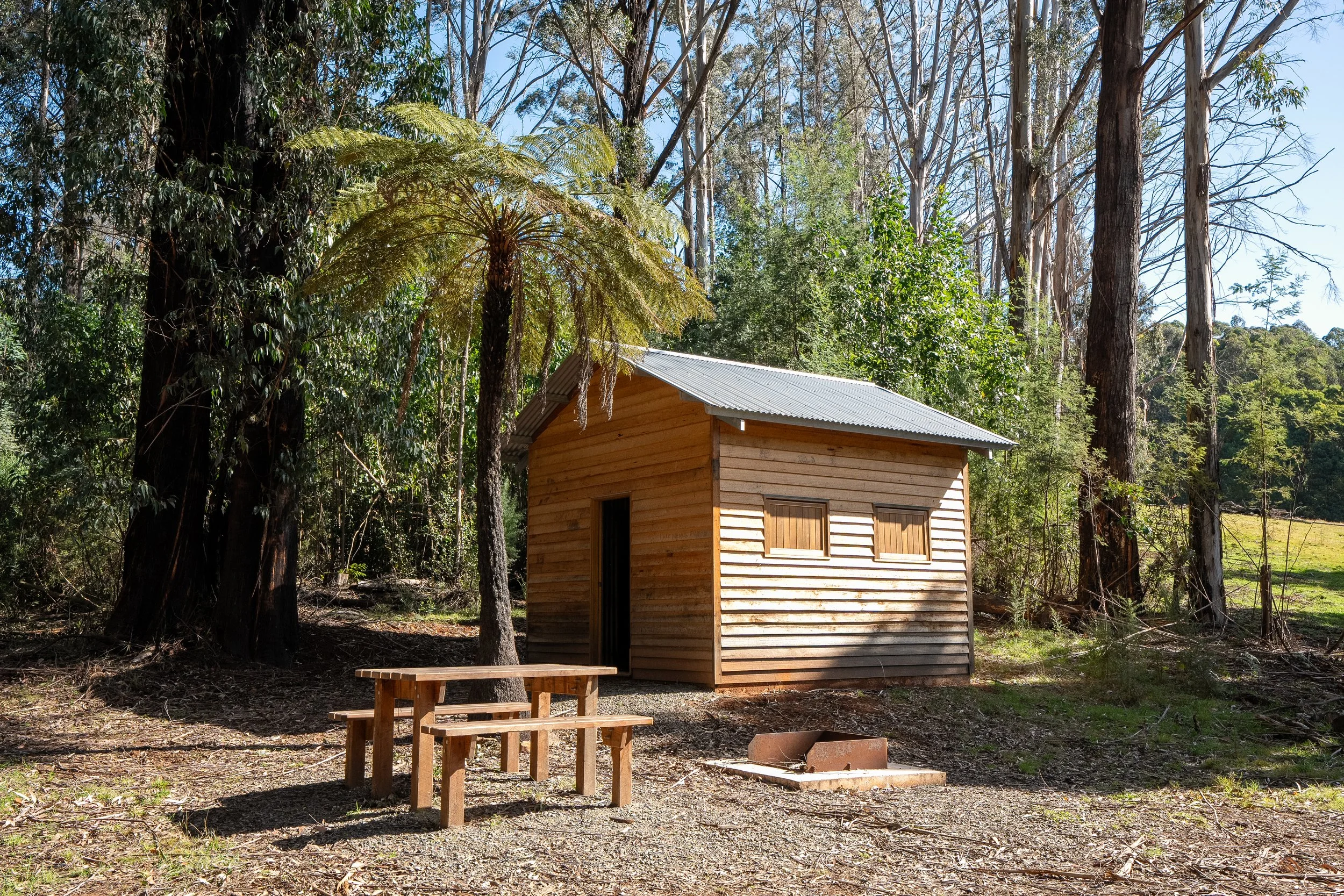 A small wooden cabin with a metal roof is situated in a forest clearing, with a picnic table and a fire pit in the foreground.
