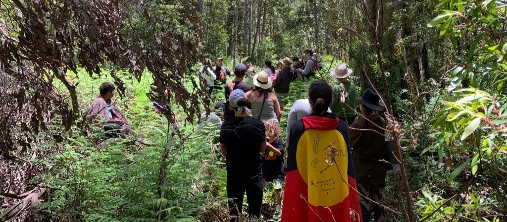 A group of people walking through a forest, some wearing hats, during daytime.