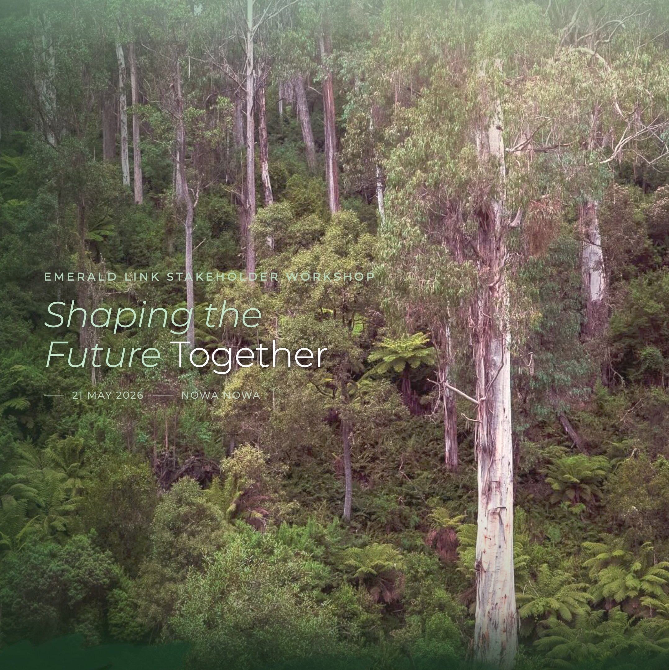 Stakeholder Workshop: Shaping the Future Together