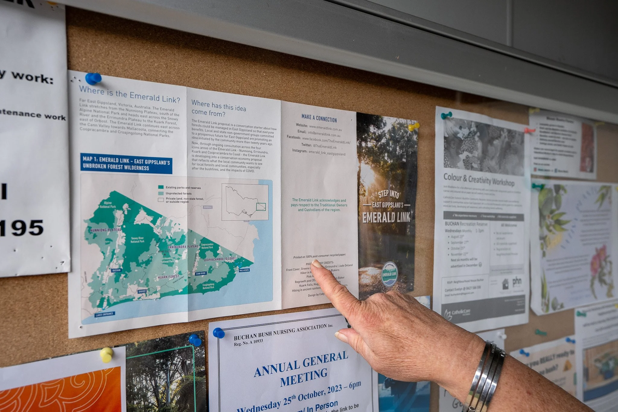 A person's hand pinning a notice on a bulletin board with various flyers, including a map of East Gippland's unbroken forest wilderness and information about the Emerald Link project.