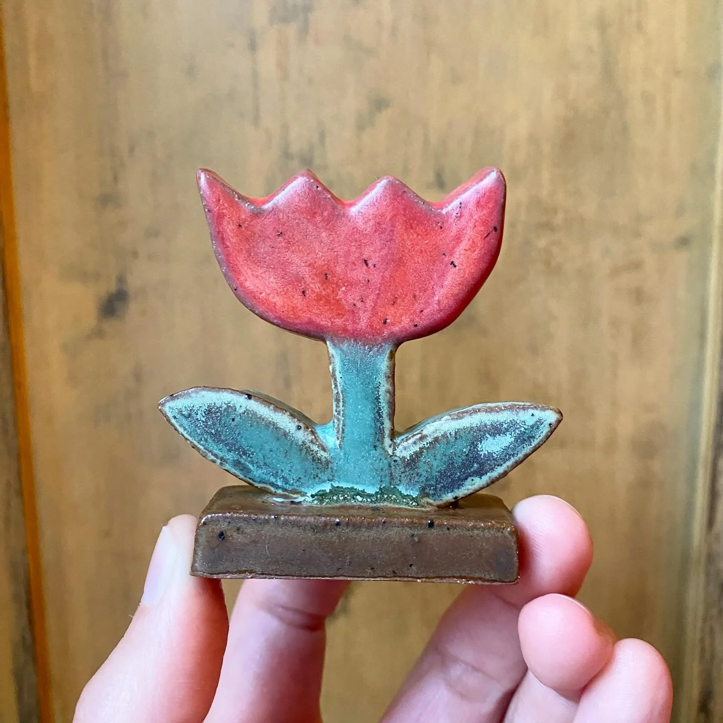 Yet another iteration of a tulip 😊🌷