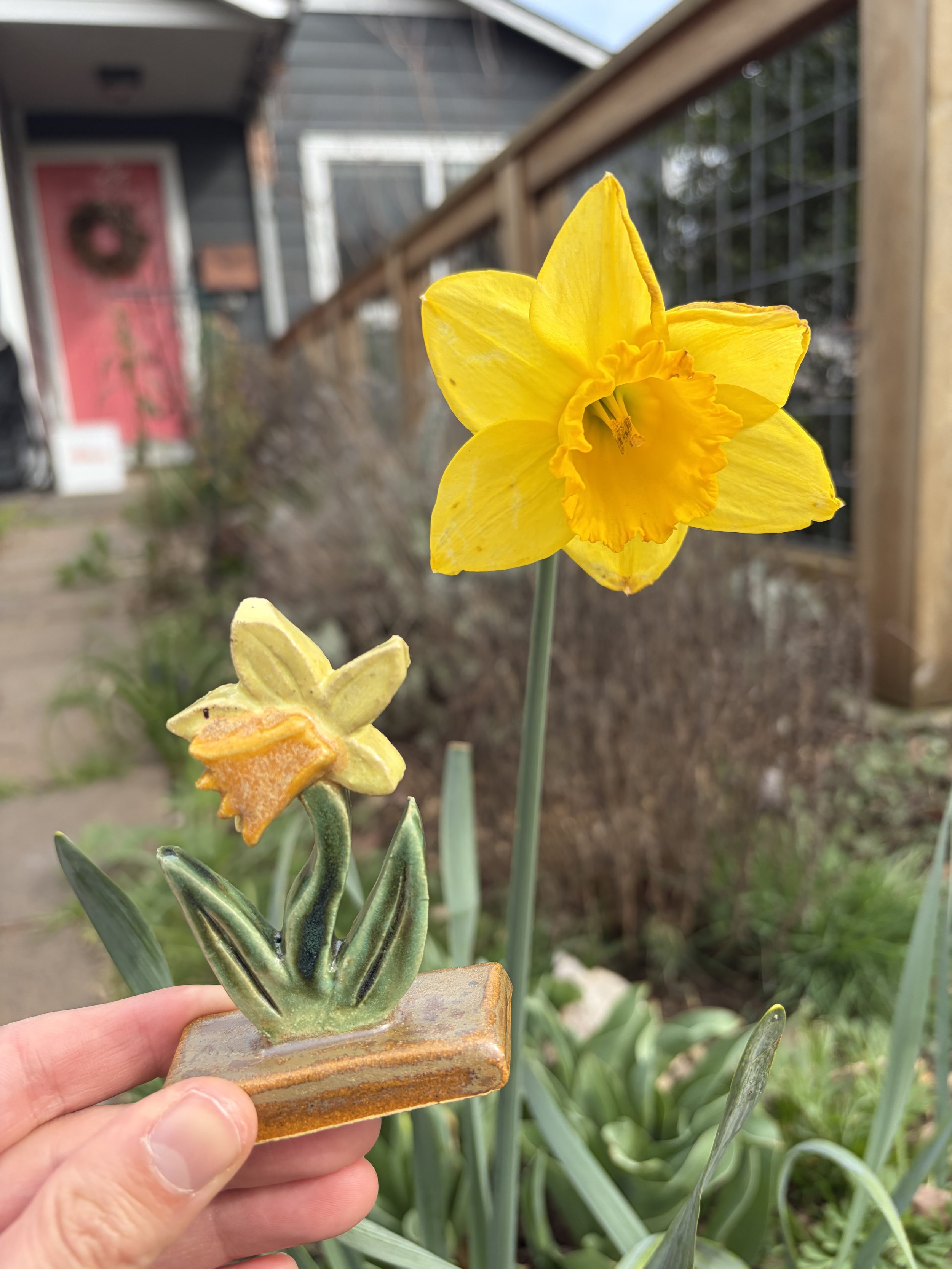 IMG_6794.jpeg