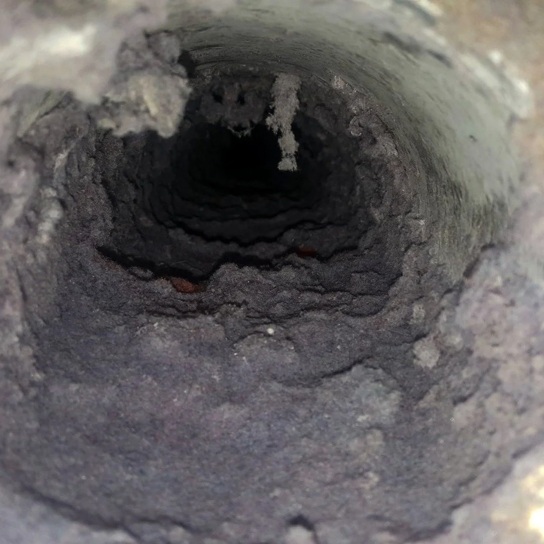 dryer vent full of lint (fire hazard)