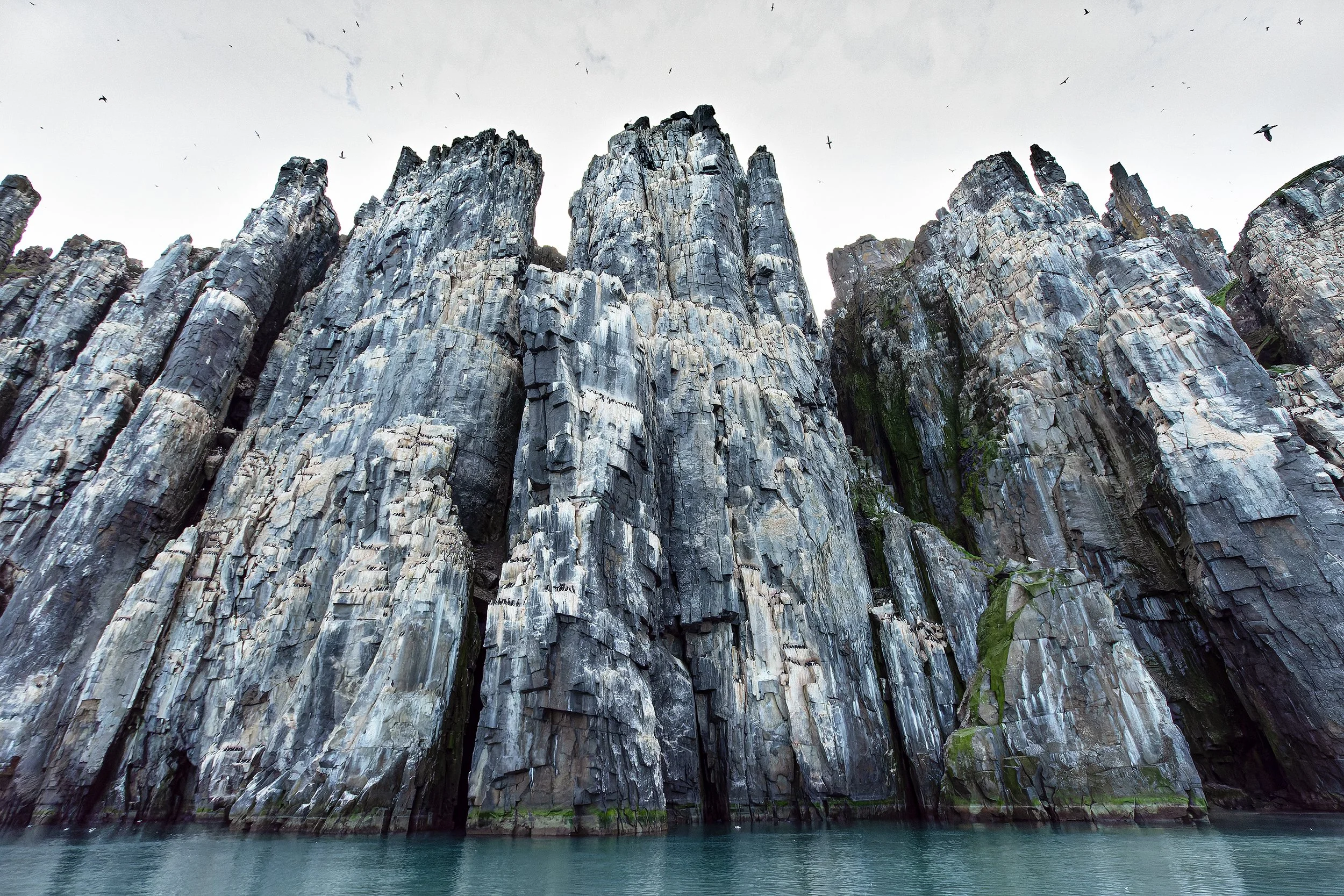 Alkefjellet Bird Cliff I PSD v 3.jpg