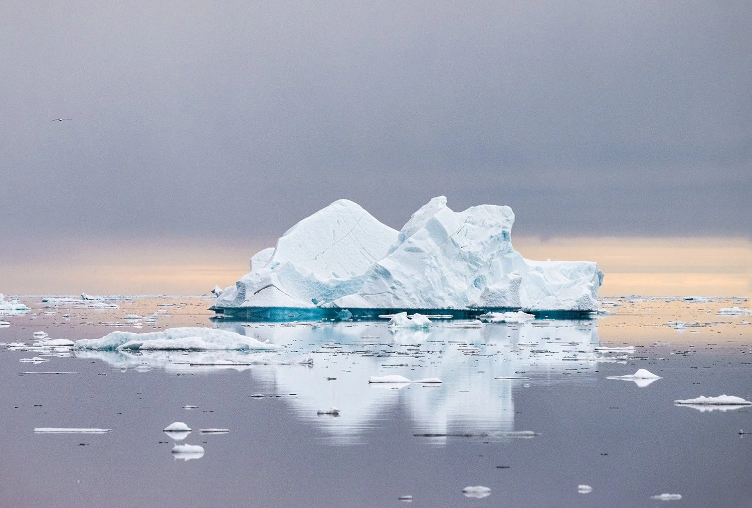 Iceberg I JPG.jpg